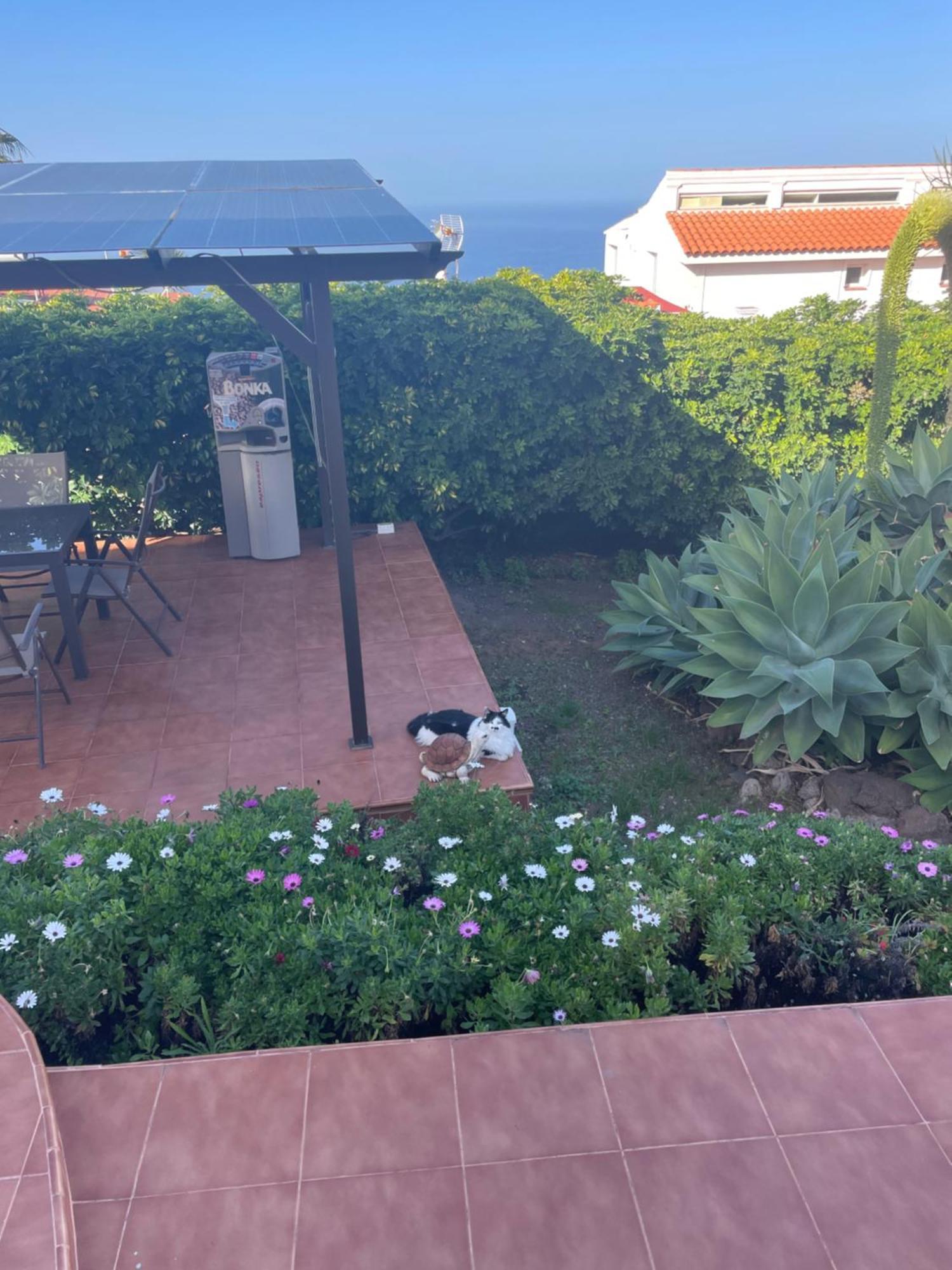Apartamento De Invitados *