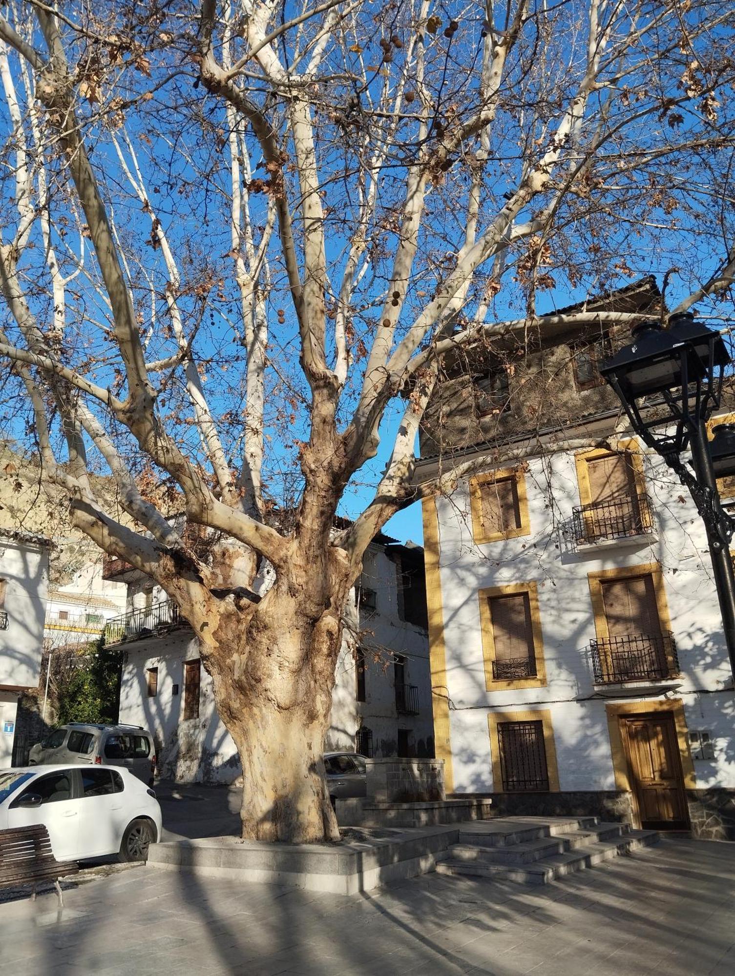 Casa Altuna *