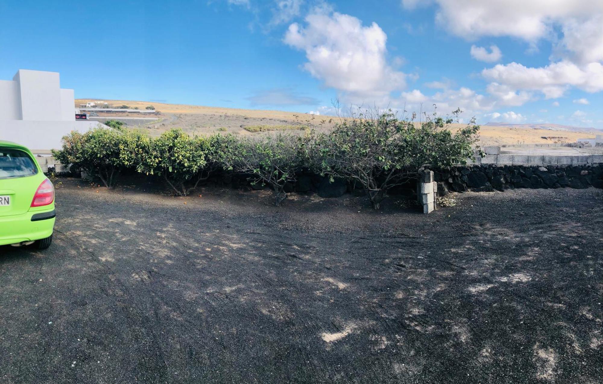 Alegria In The Beautiful Village Of Mozaga, Lanzarote