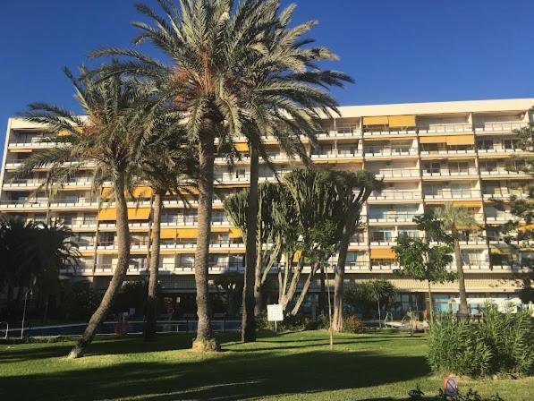 Newparadise Apartamento