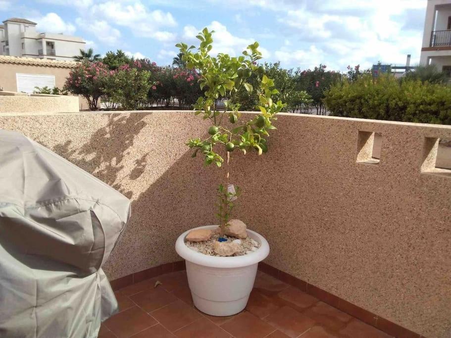 Lovely With Two Big Terrasses Apartment *