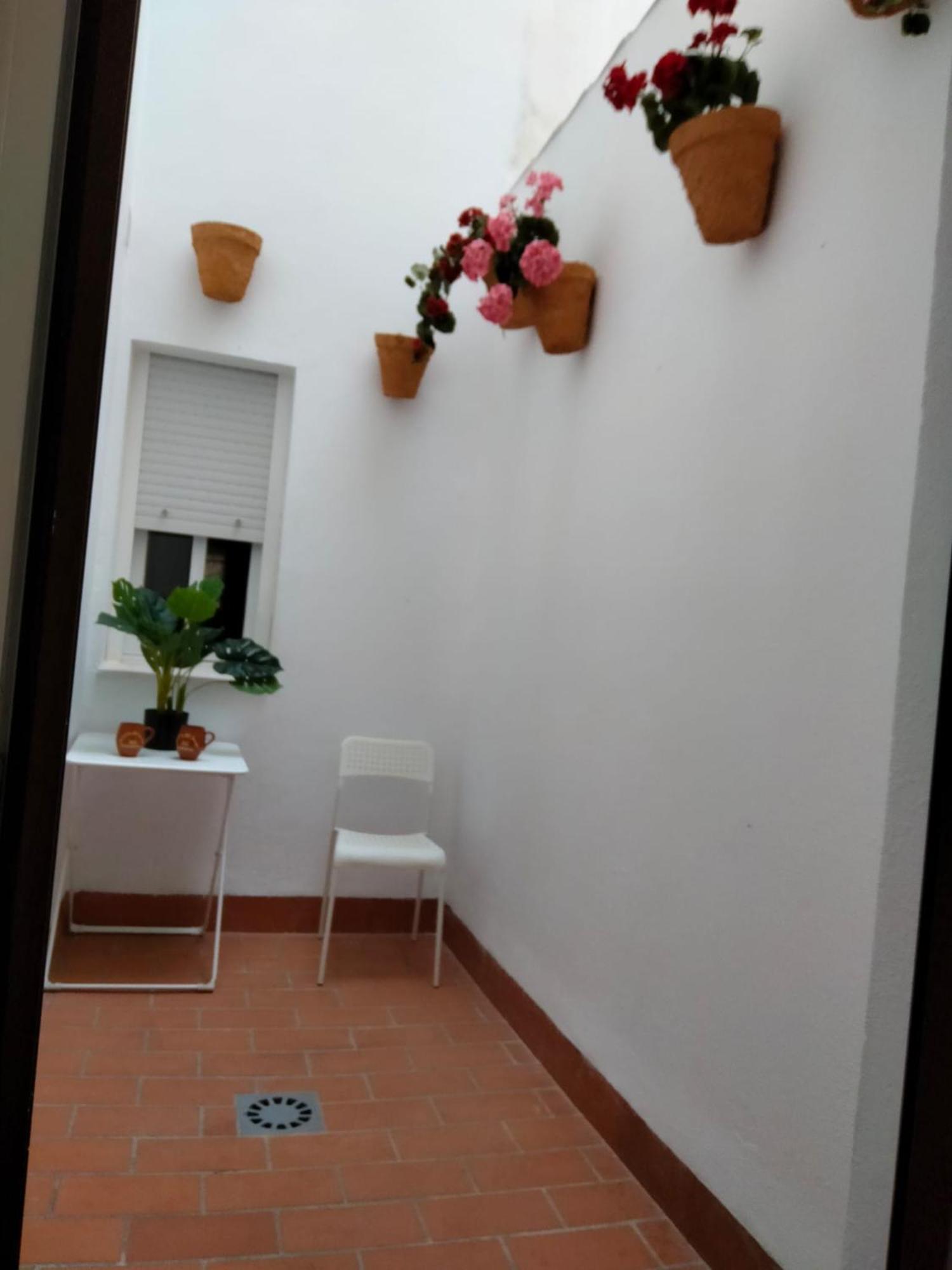 Mi Pequeno Paraiso