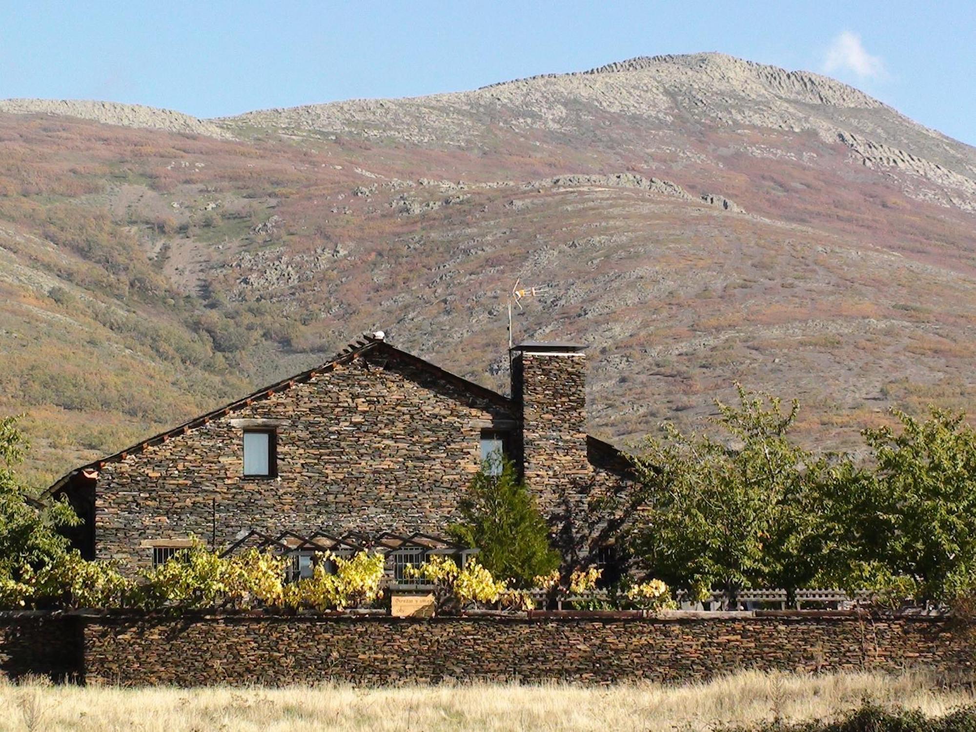 Cerezas Y Miel Chalet Majaelrayo
