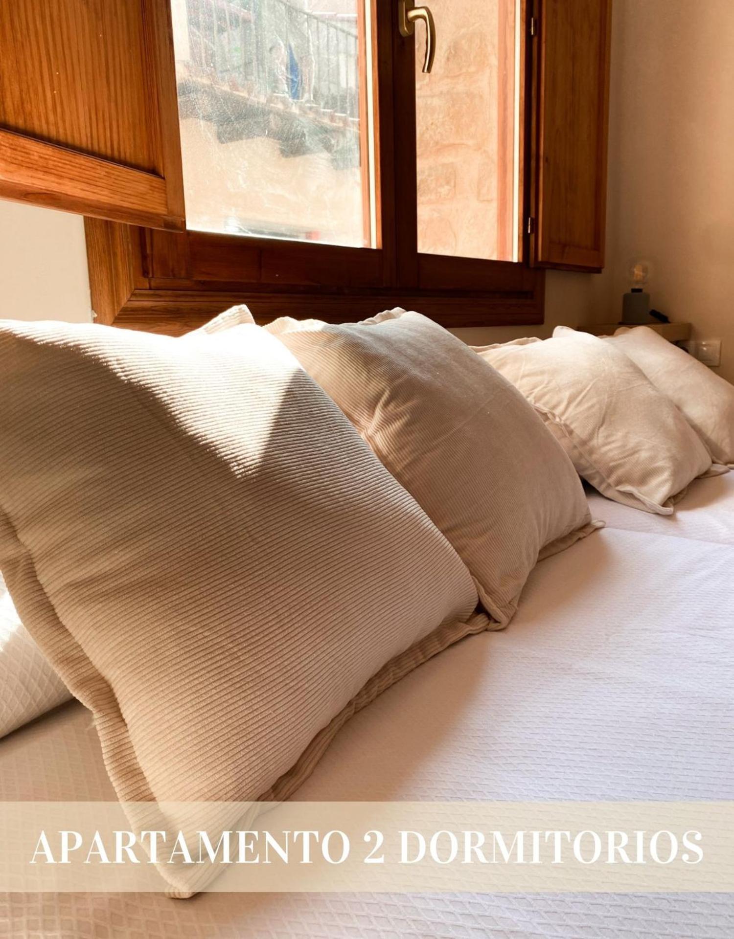 Apolonia, Apartamento