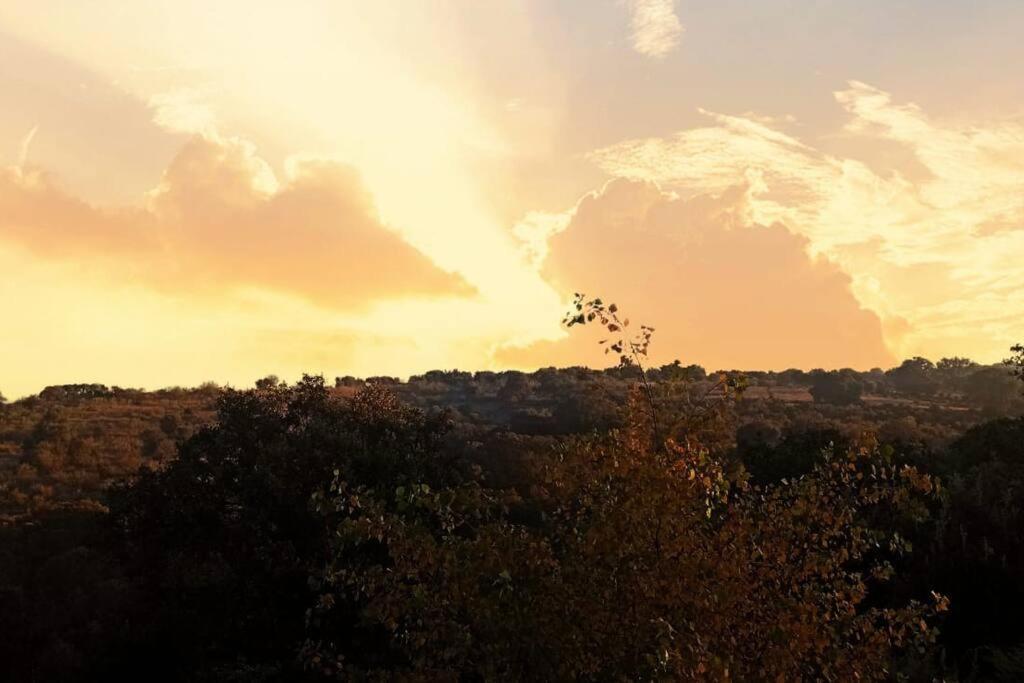 Preciosa Con Hermosas Vistas. *