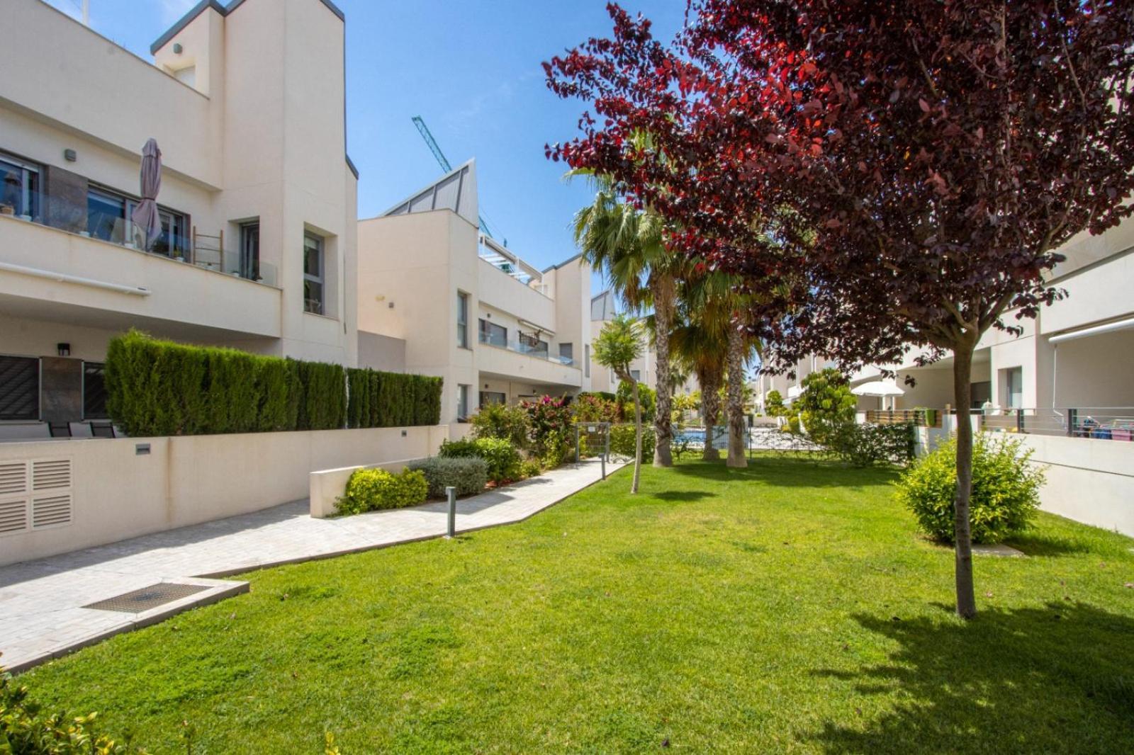 Amalia 5 * Torrevieja