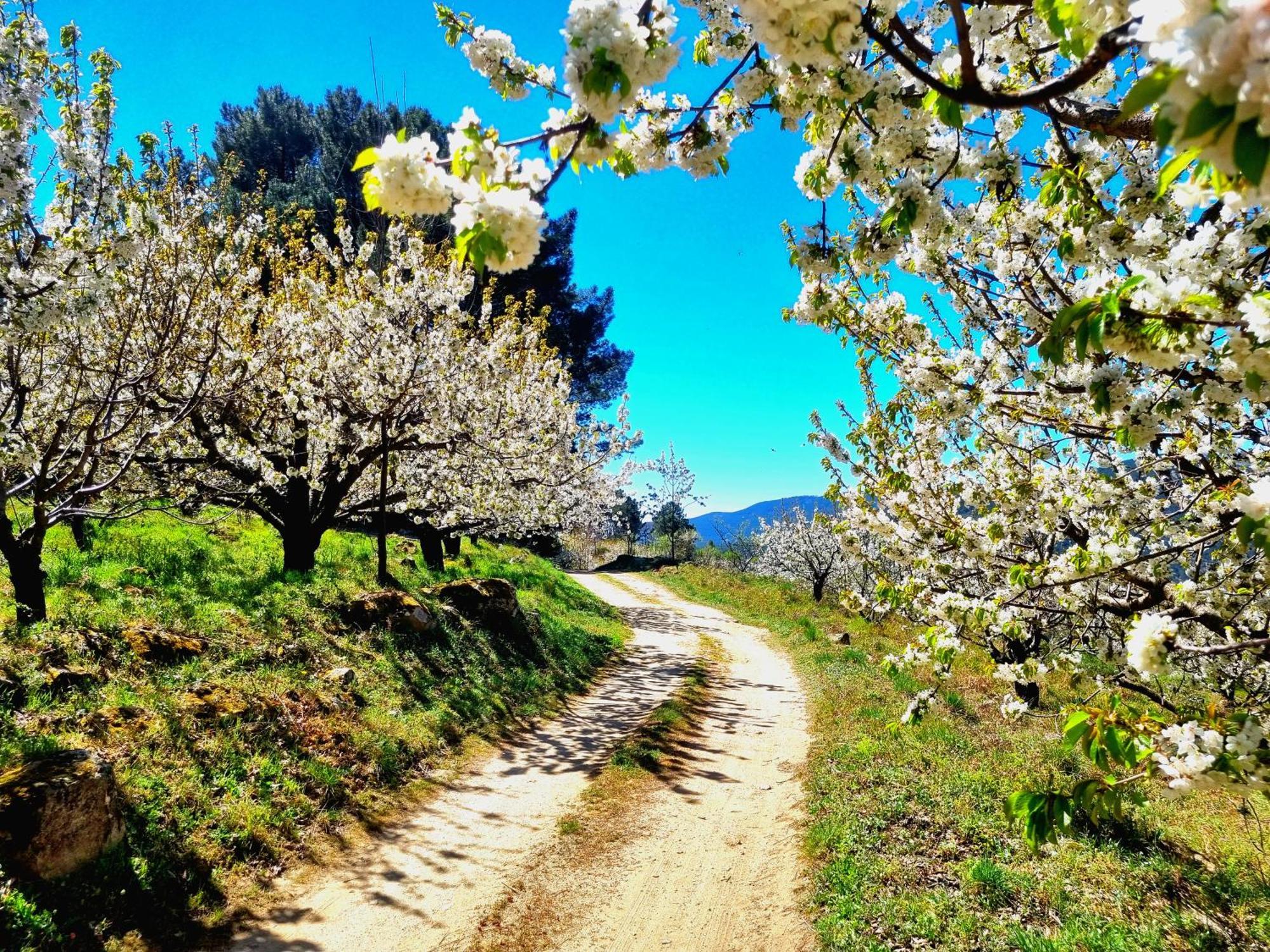 Naharro By #cherrygredos