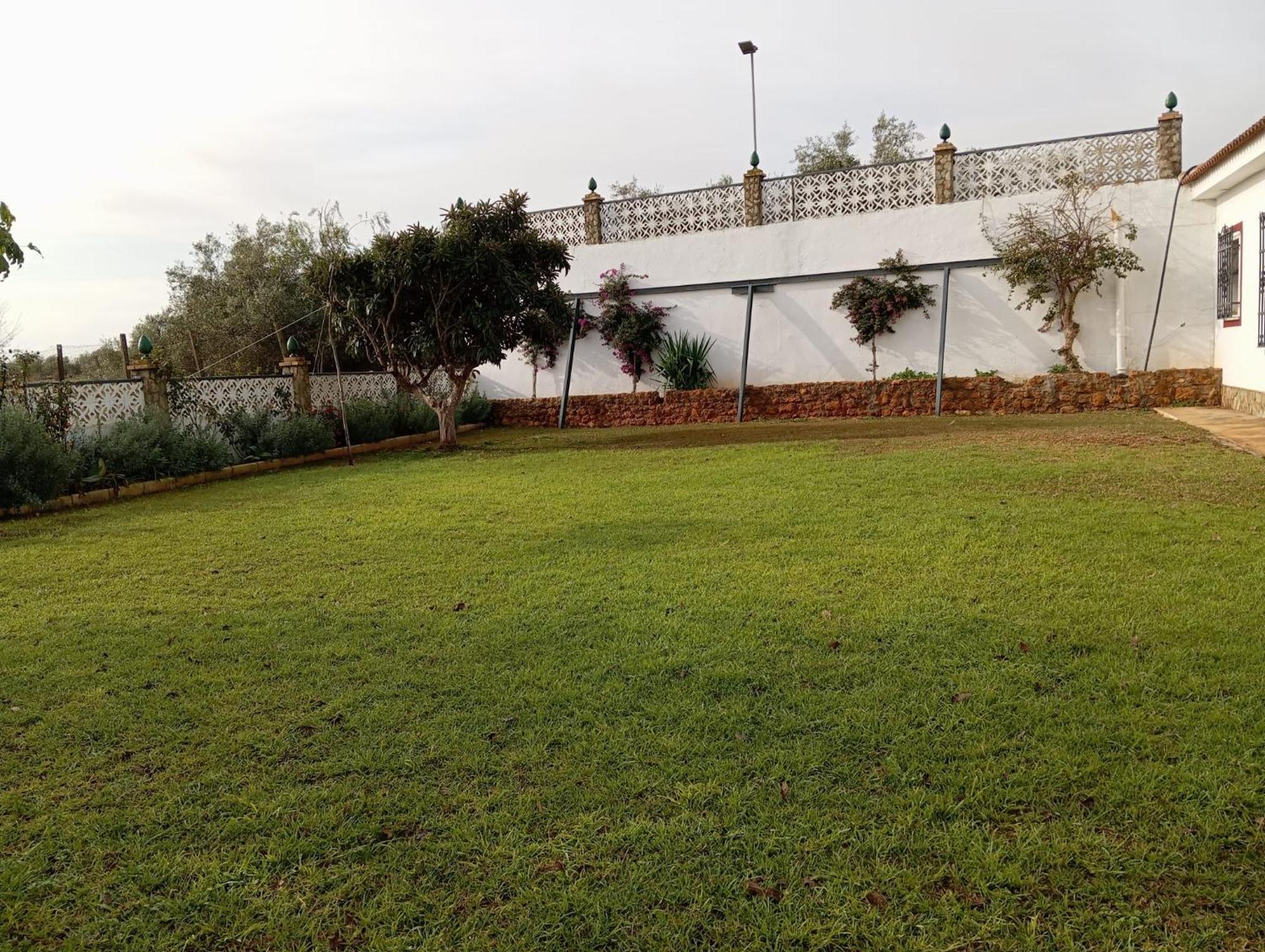 Naranjo Villa Seville