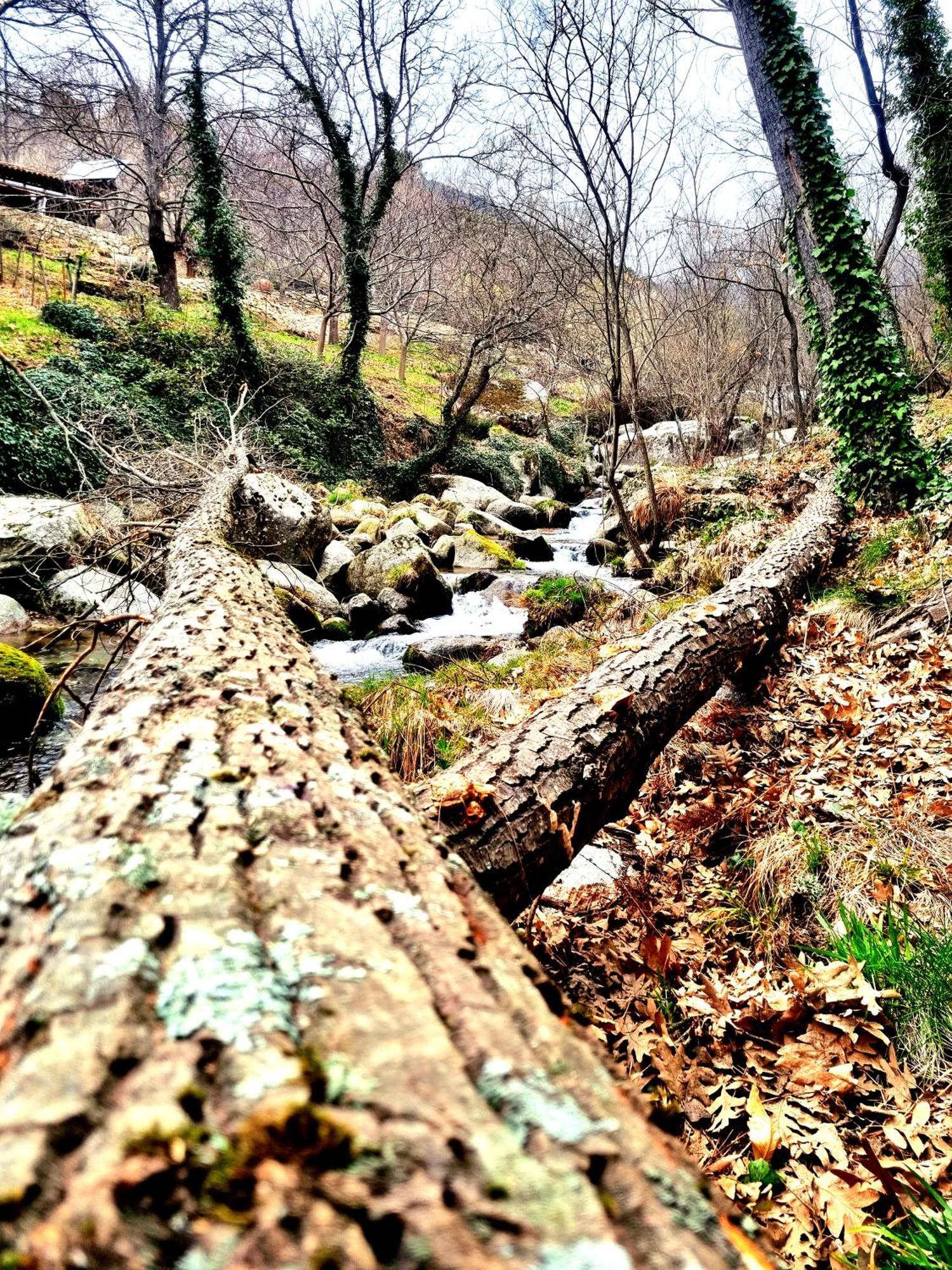 La Penita By #cherrygredos * El Arenal (Castile and Leon)