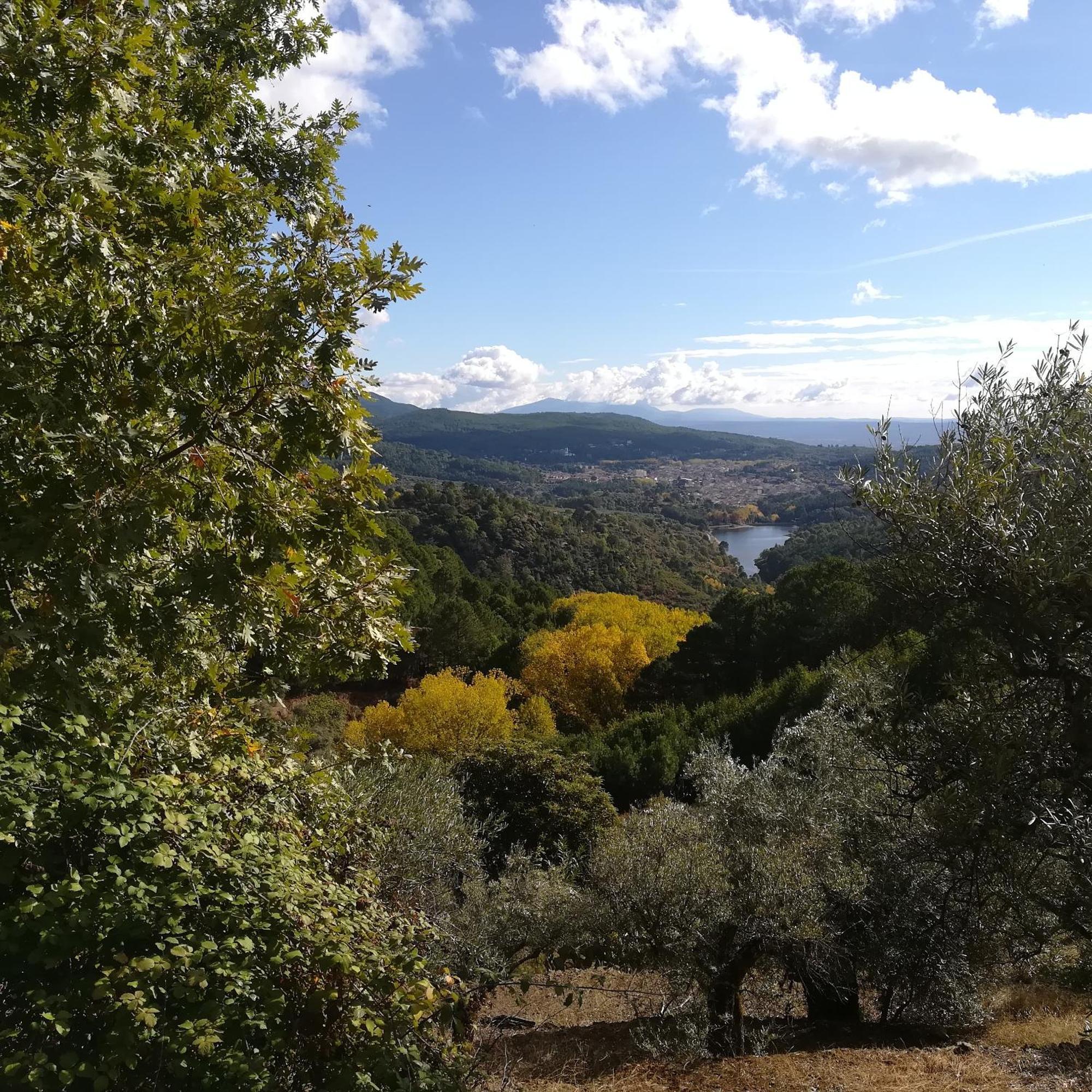 La Albarea