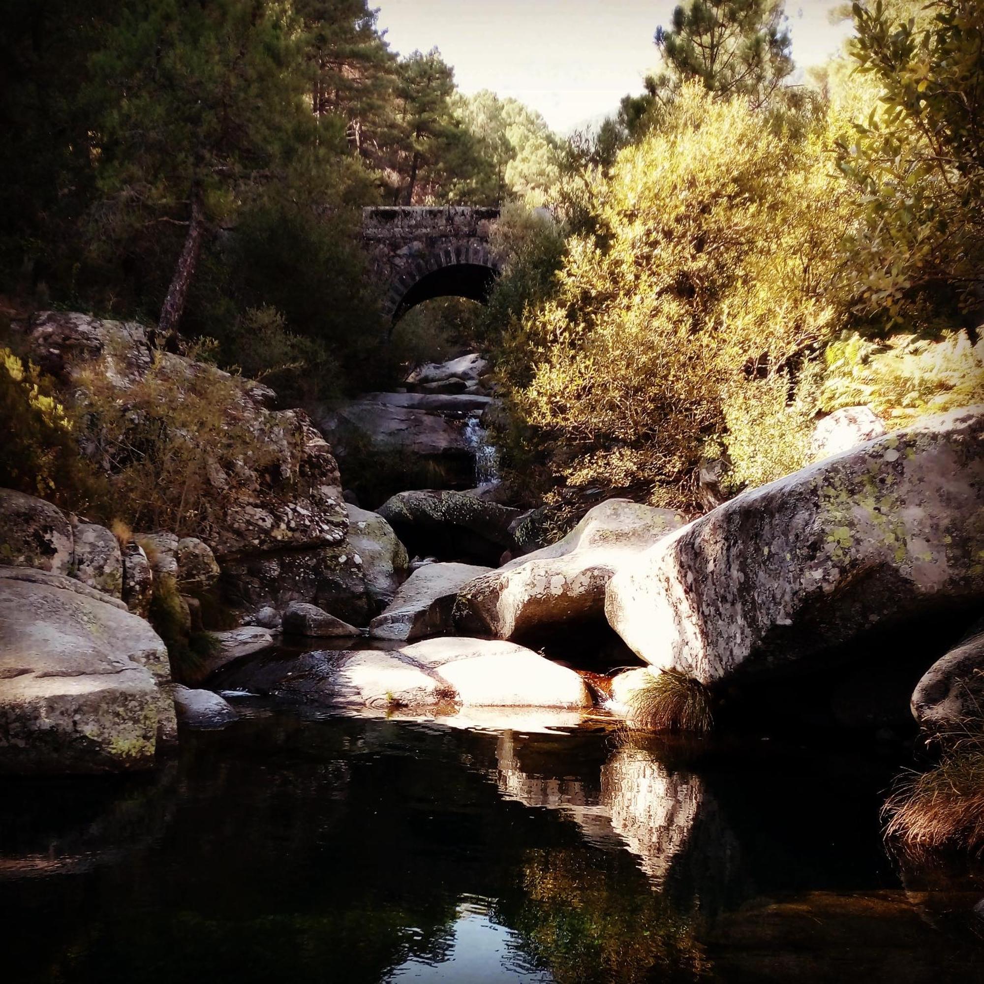 La Albarea