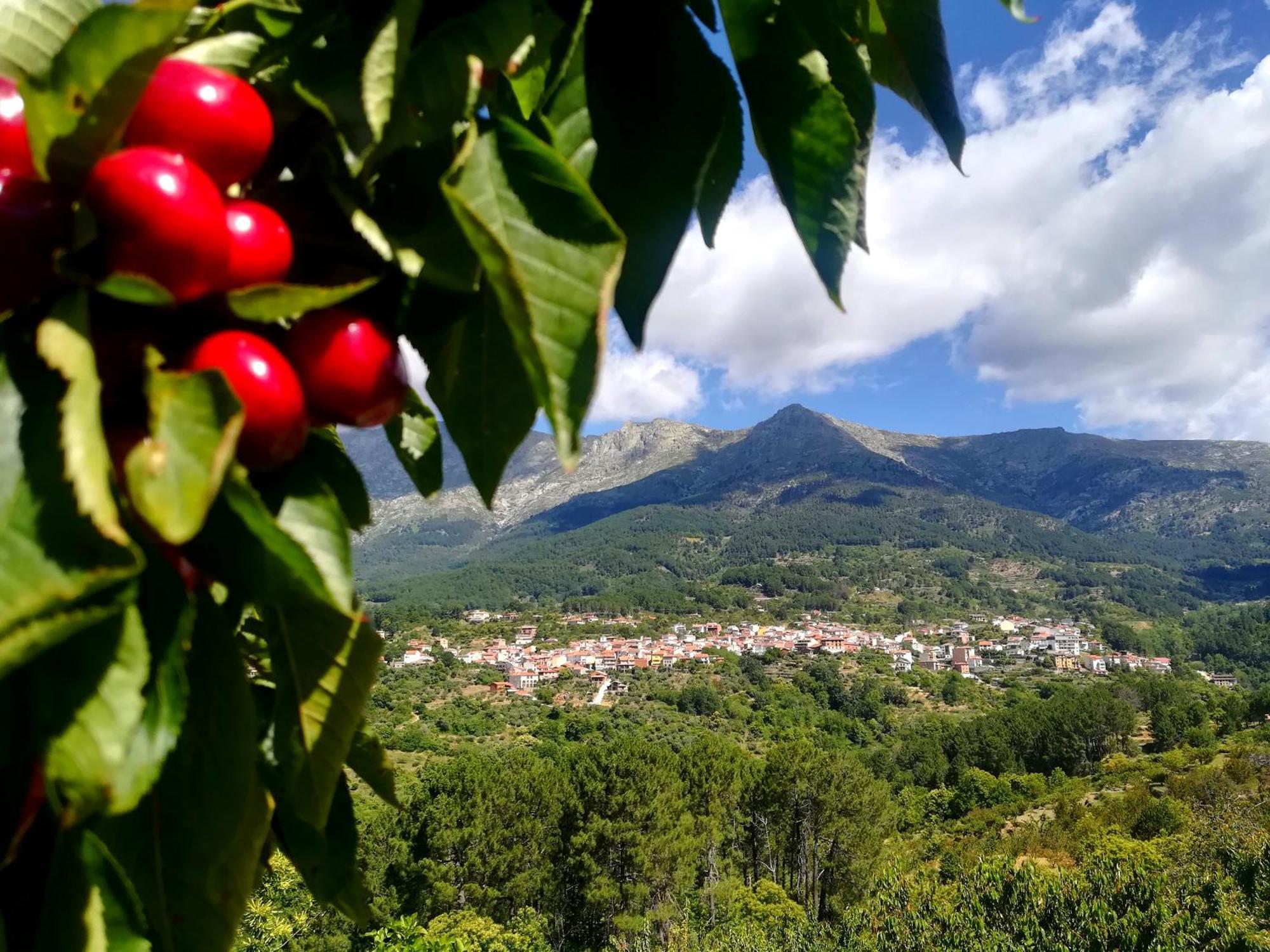Apartment La Penita By #cherrygredos El Arenal (Castile and Leon)
