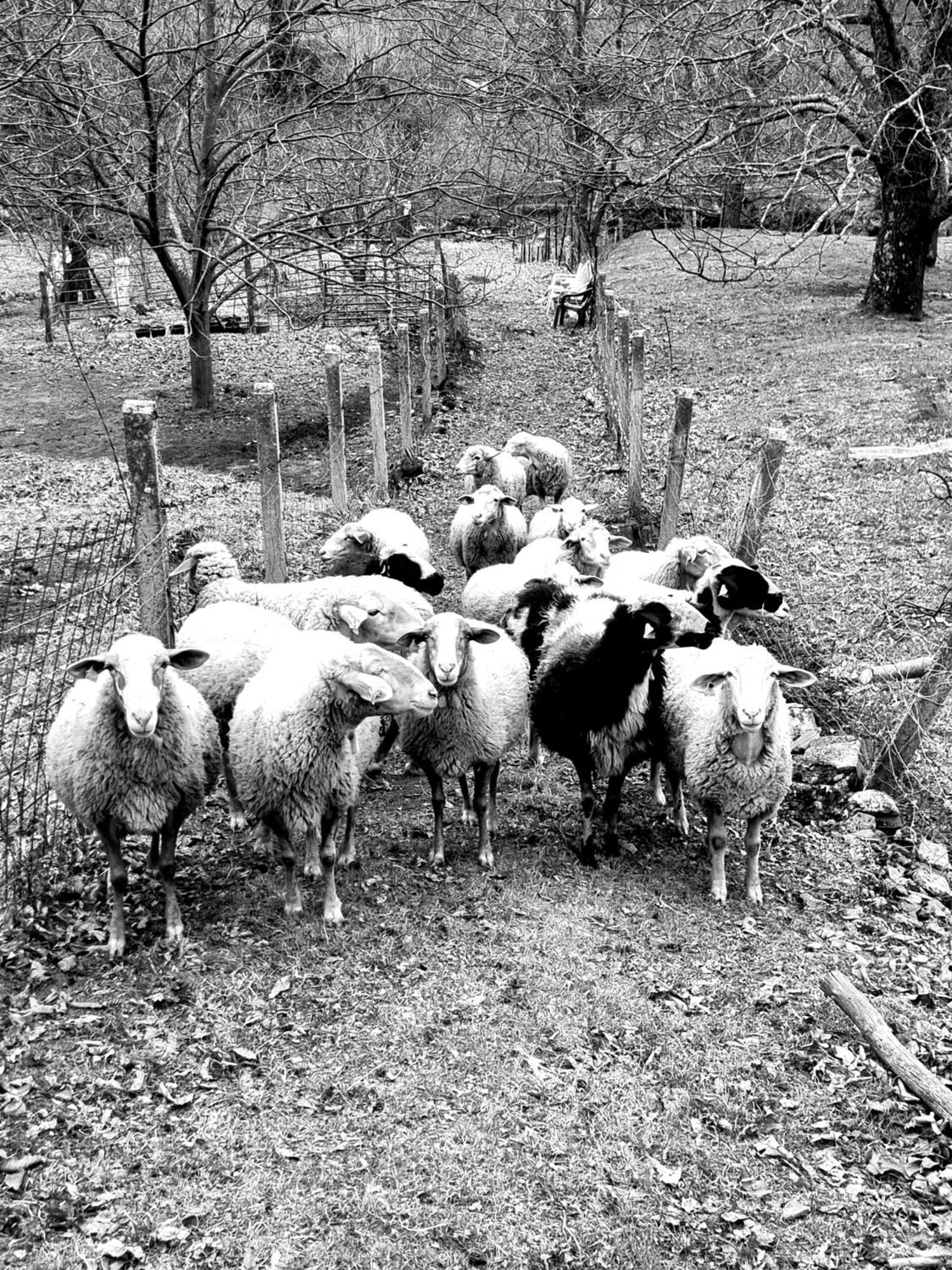 La Penita By #cherrygredos * El Arenal (Castile and Leon)