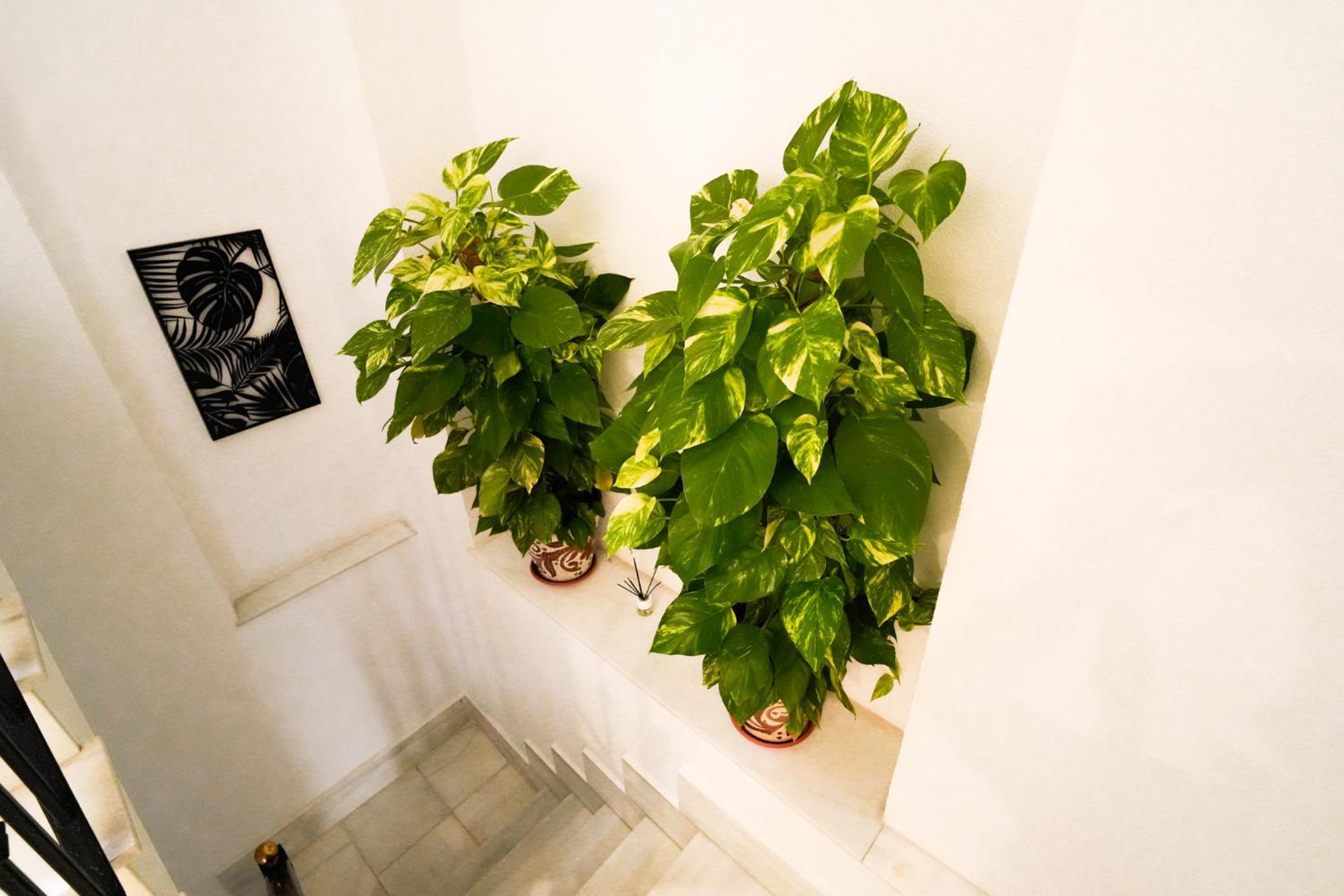 Apartamento Consistorio Live *