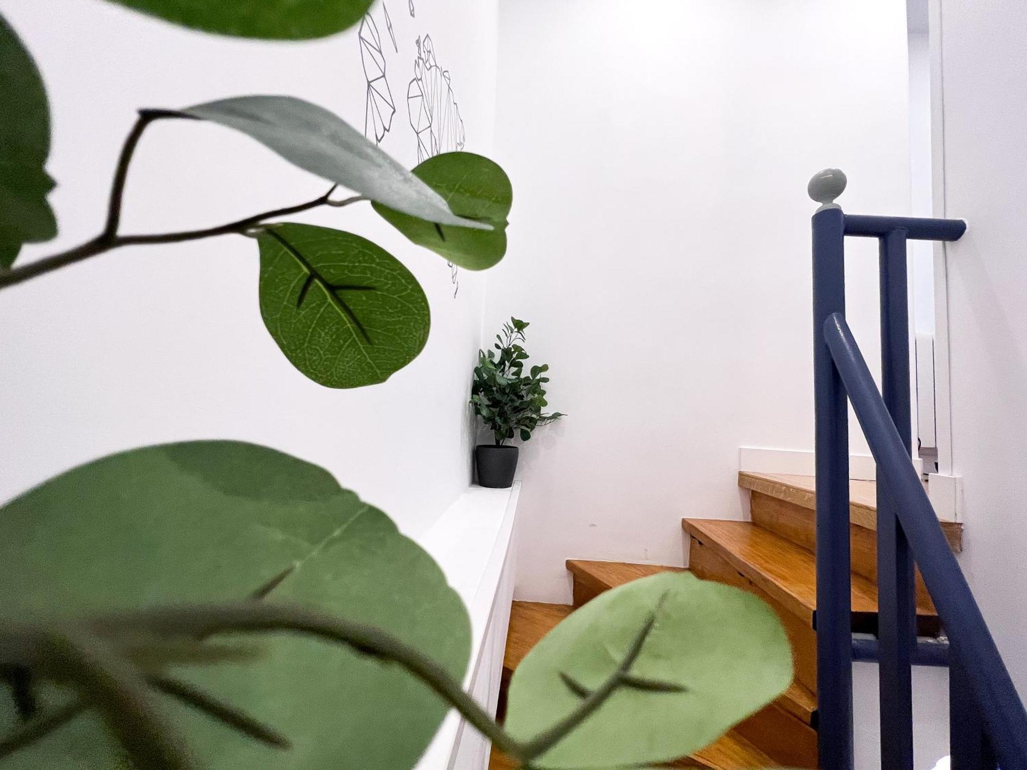 Apartamento Duplex *