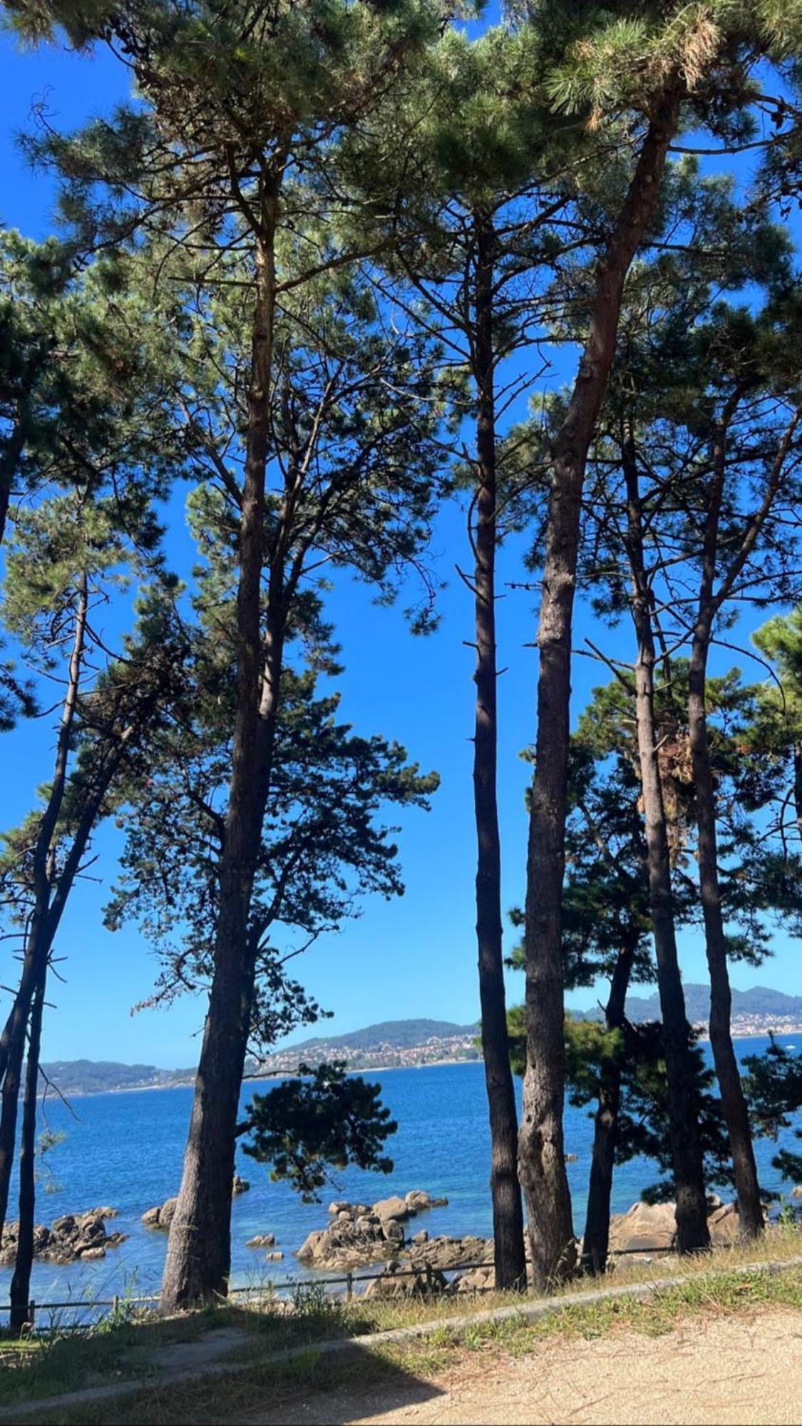 Privada En Vigo, Cerca Del Parque Castrelos, A 5min De La Playa, Compartido Homestay Vigo