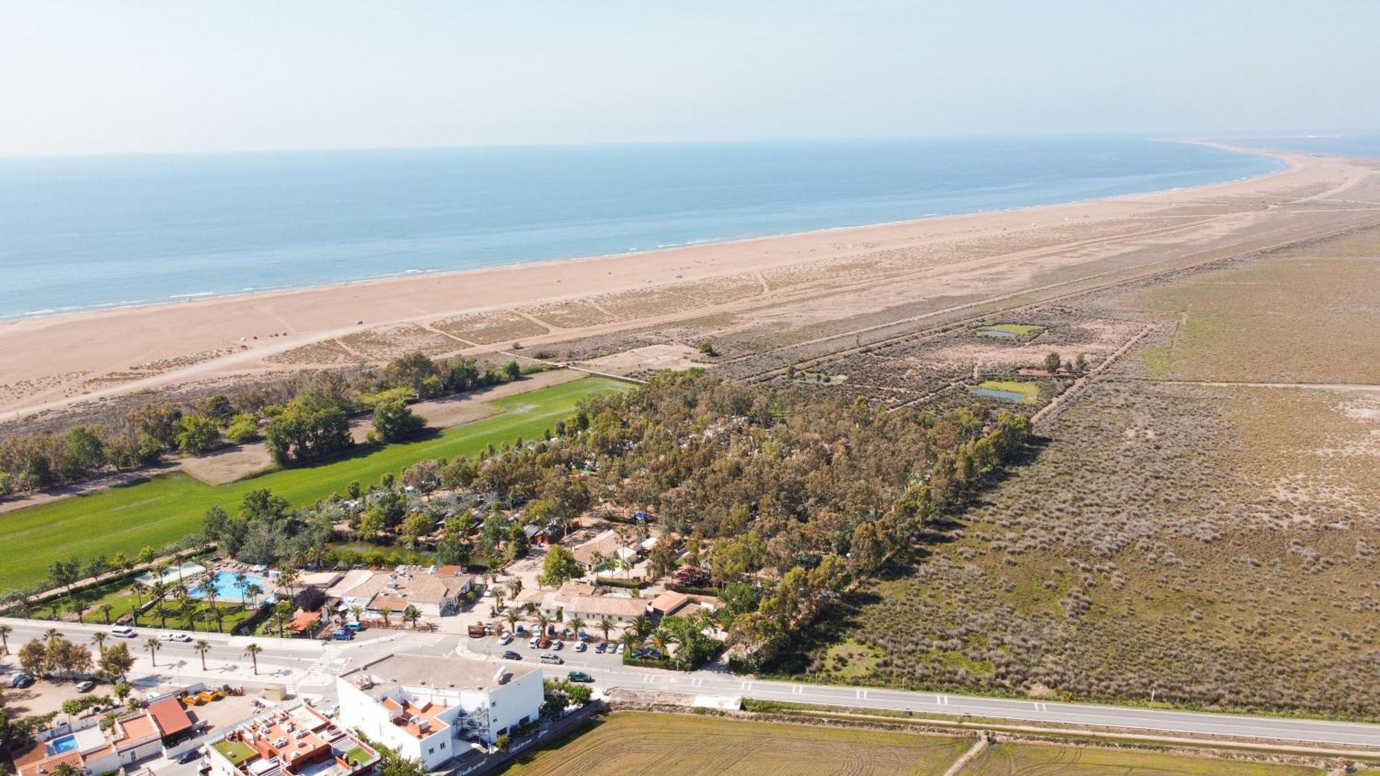 Calito Del Delta L'Eucaliptus