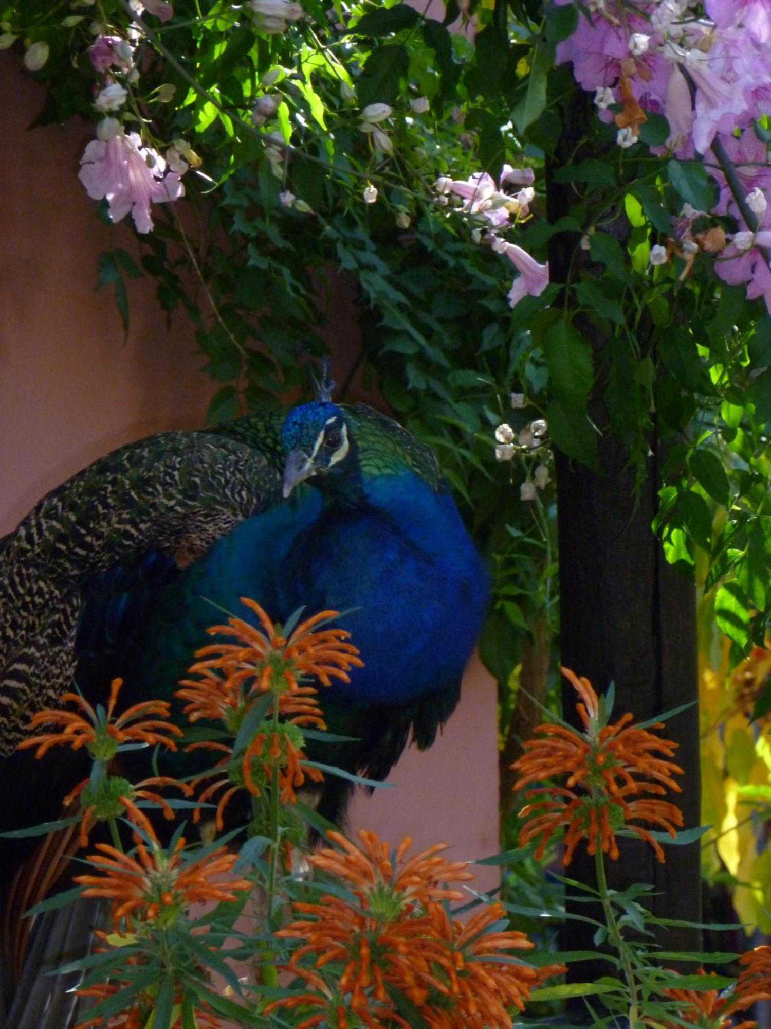 Lodge Eco Moyano *