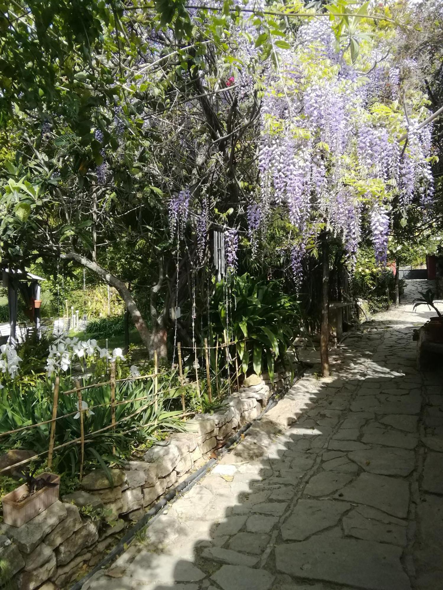 Lodge Eco Moyano Gaucín