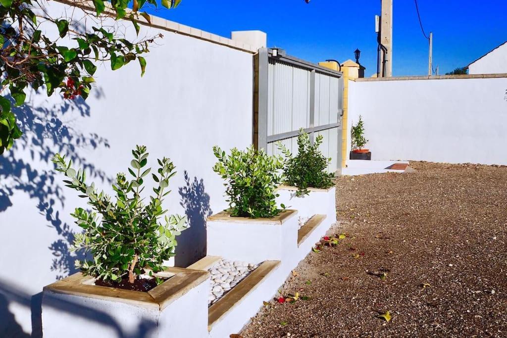 Mise Holiday home Conil De La Frontera
