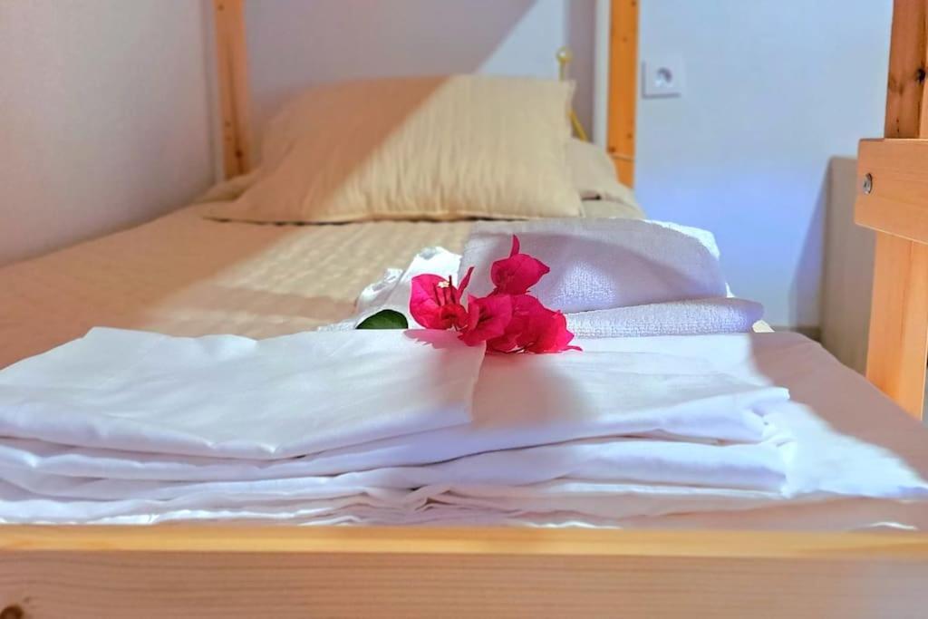 Mise Holiday home Conil De La Frontera