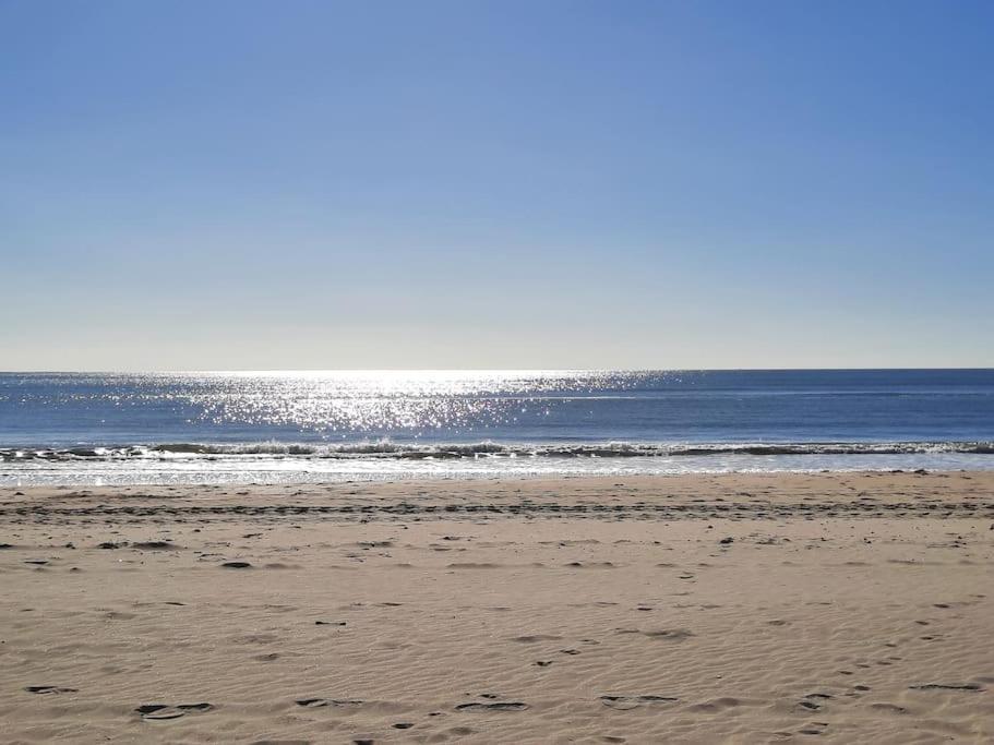 Mi Bonito Del Portil El Portil