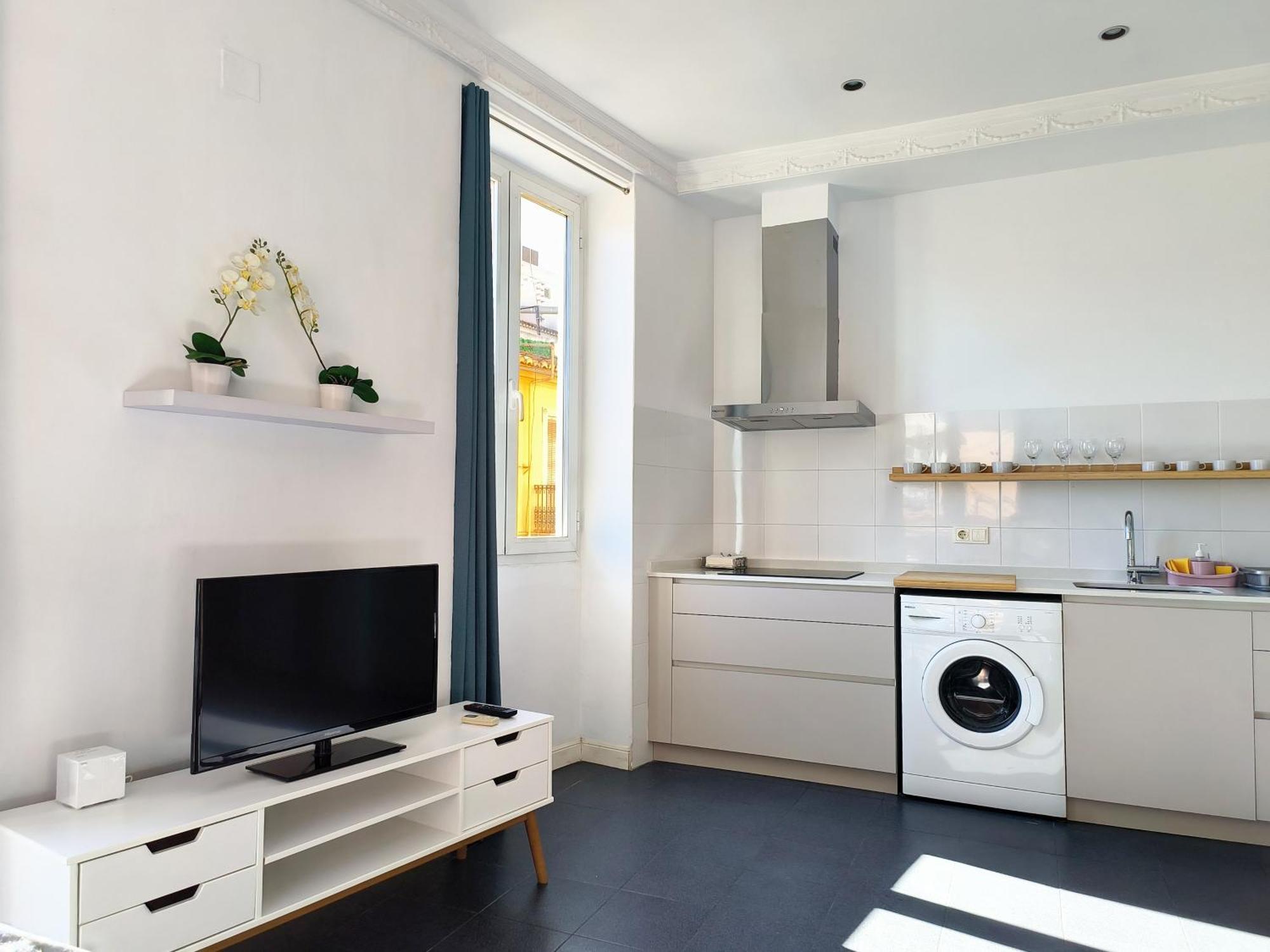 Apartamento Flats Friends Torres Quart *