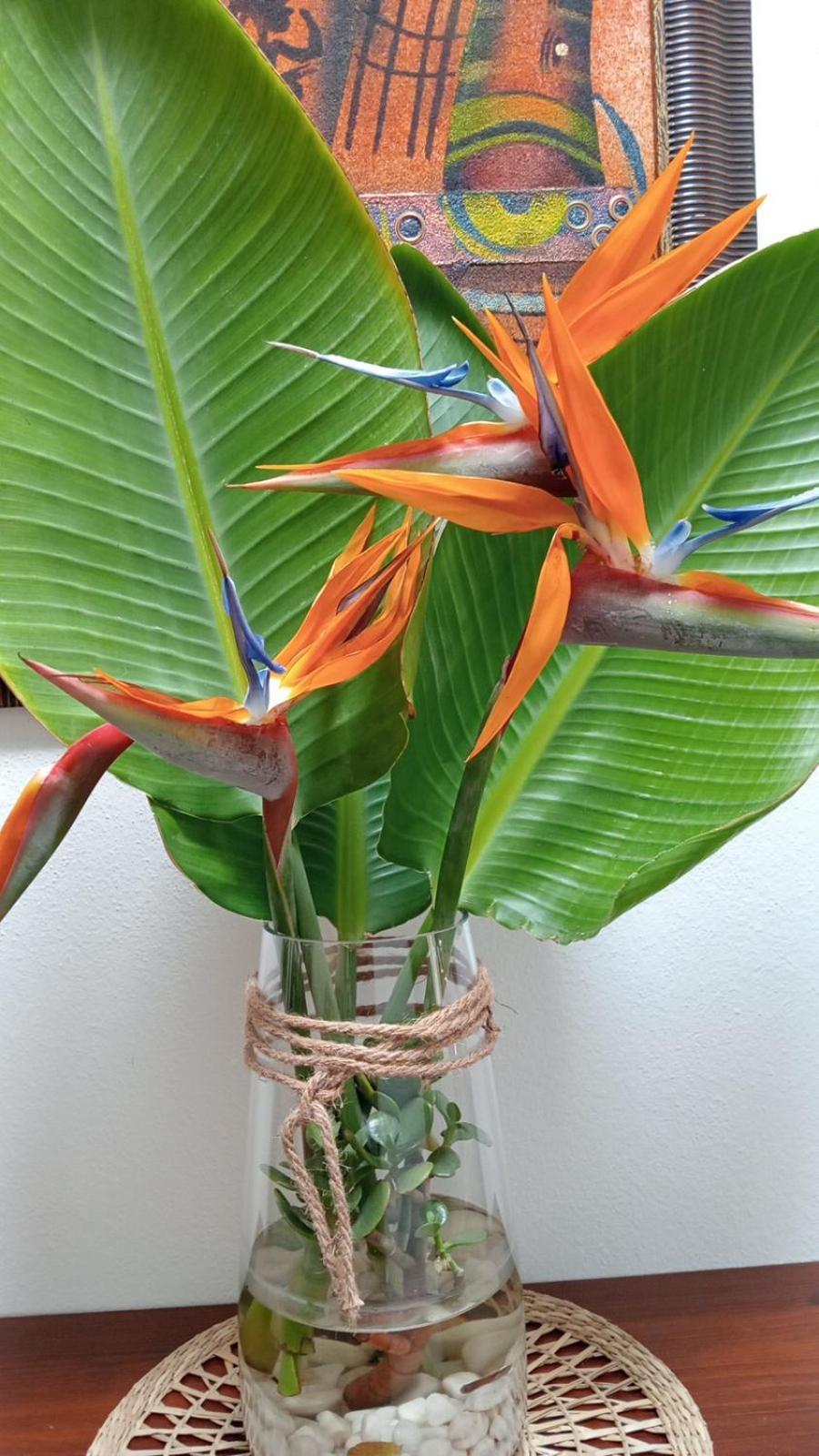 Villa Casa Strelitzia Nazaret