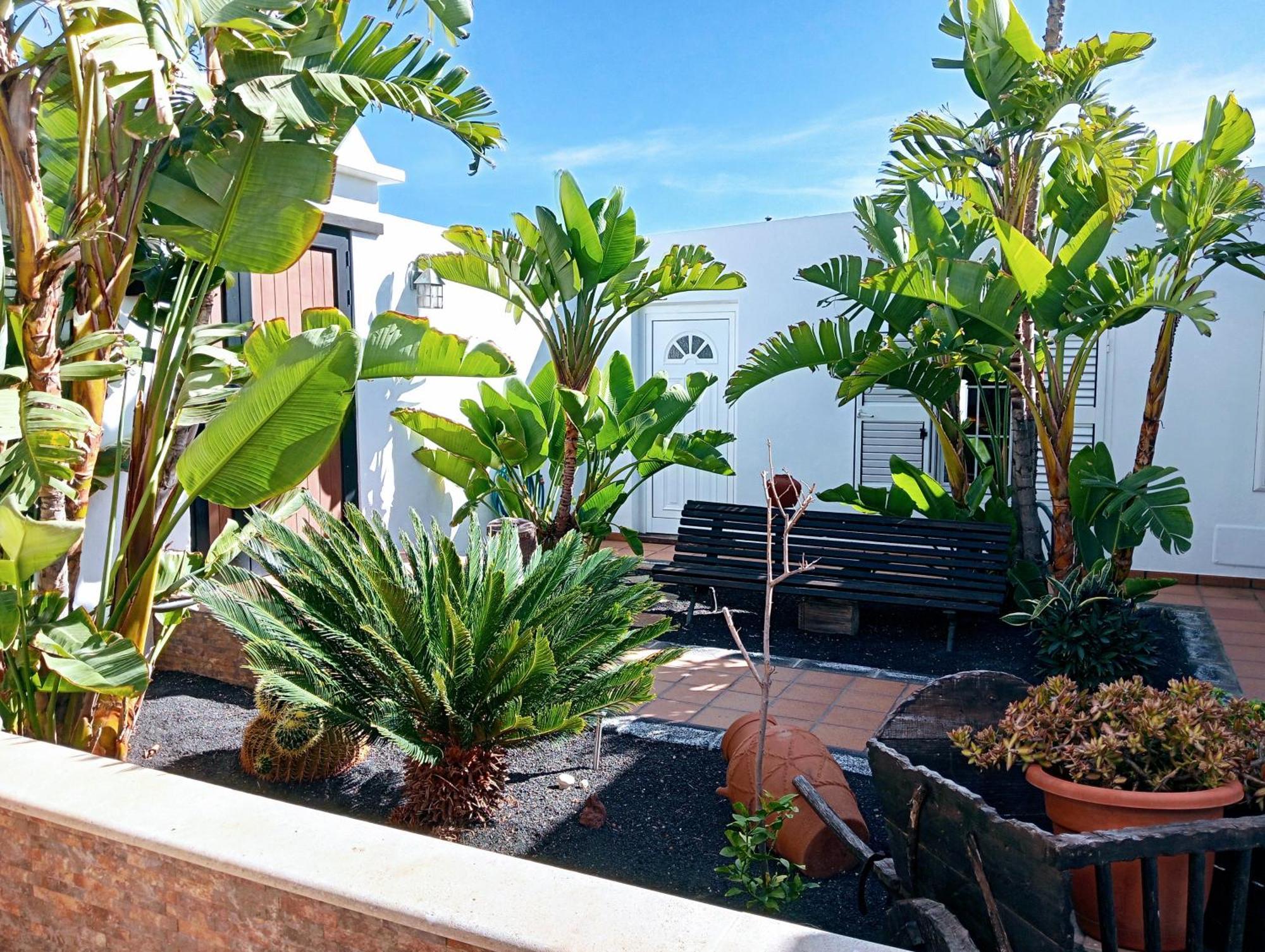 Casa Strelitzia Villa *