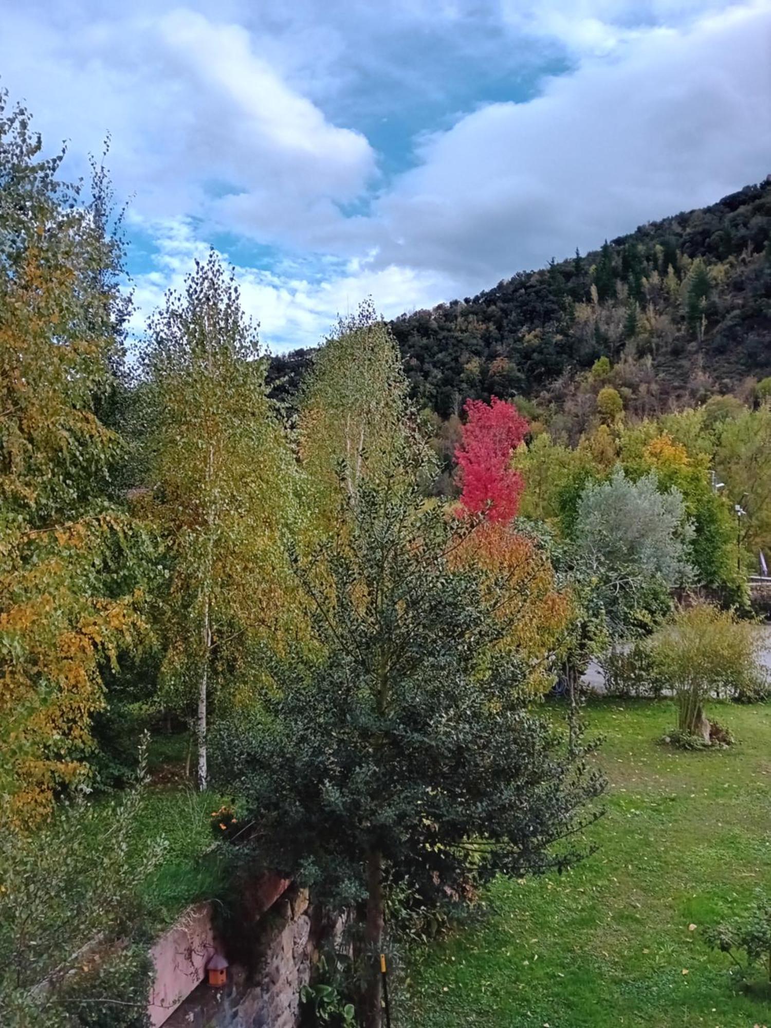 Inn Picos De Europa And Turieno