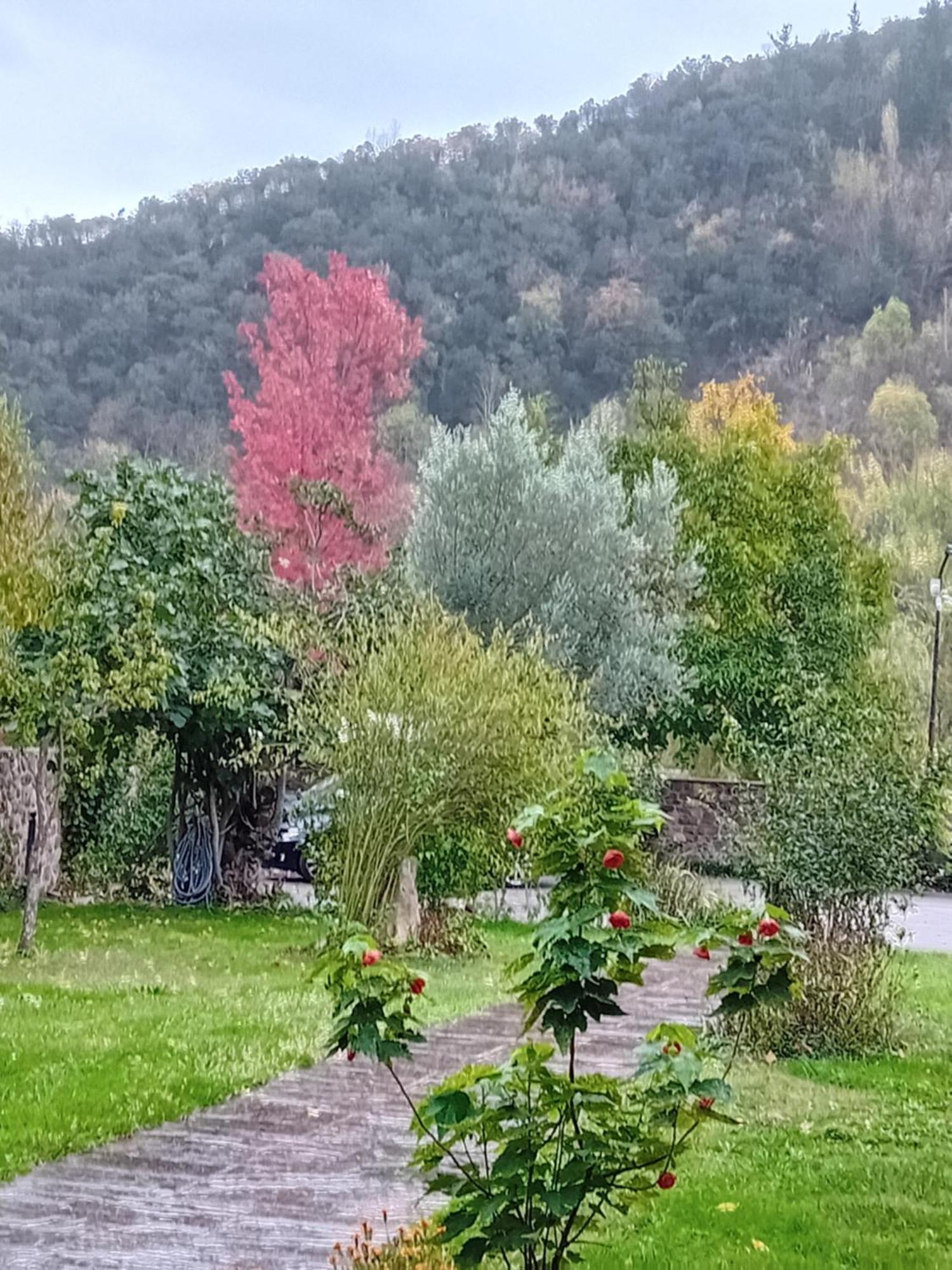 Inn Picos De Europa And