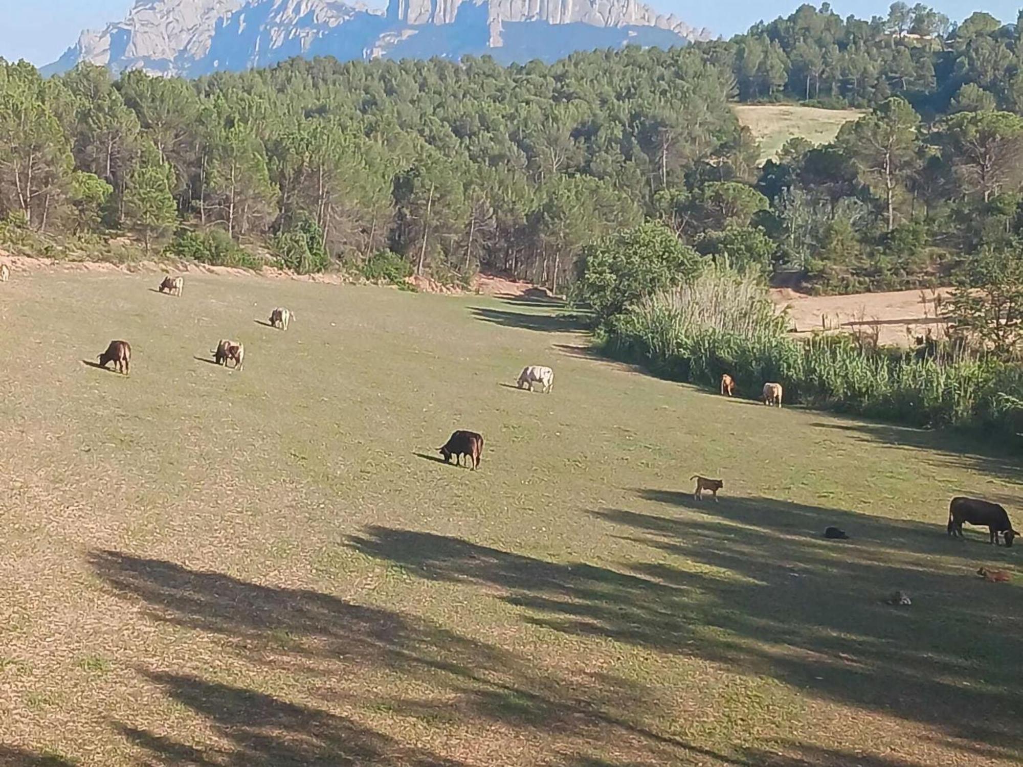 Belvilla By Oyo Mas Set Rengs 2 Сasa de vacaciones Guardiola de Font-Rubi