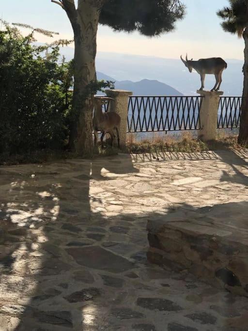 Luxury Sierra Nevada Apartamento Granada