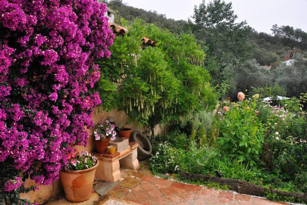 Casa Flor De Sol - Natural Park Aracena Navahermosa (Huelva)