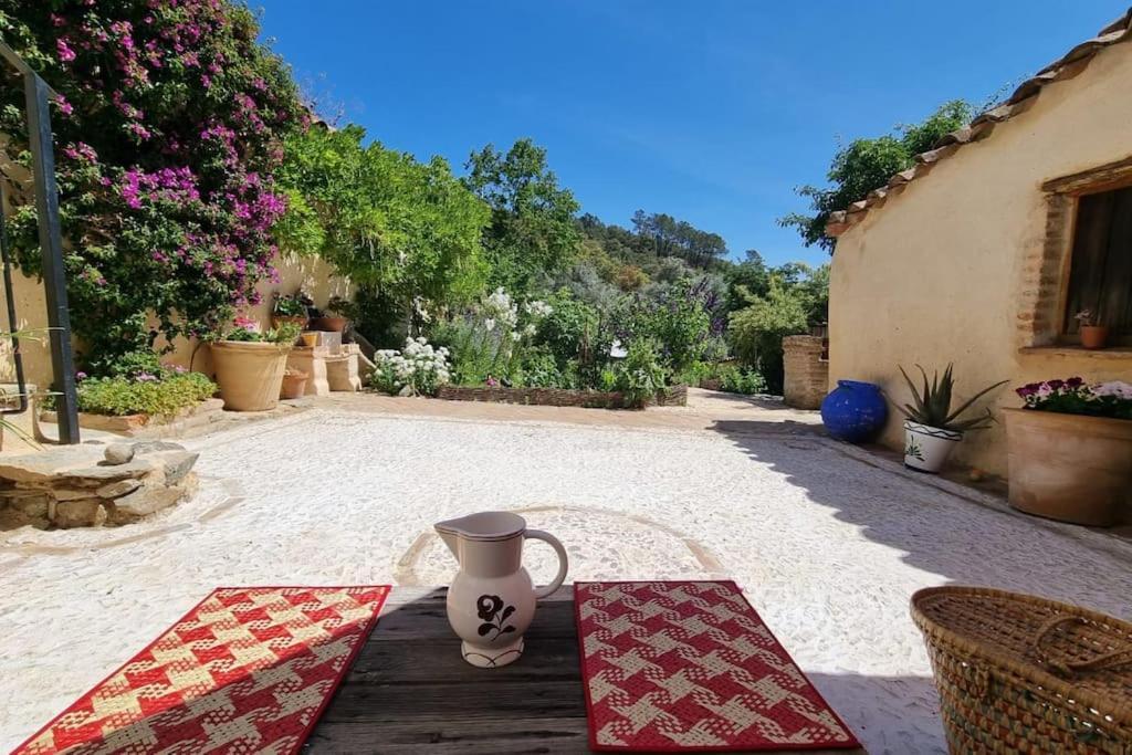 Holiday home Casa Flor De Sol - Natural Park Aracena Navahermosa (Huelva)