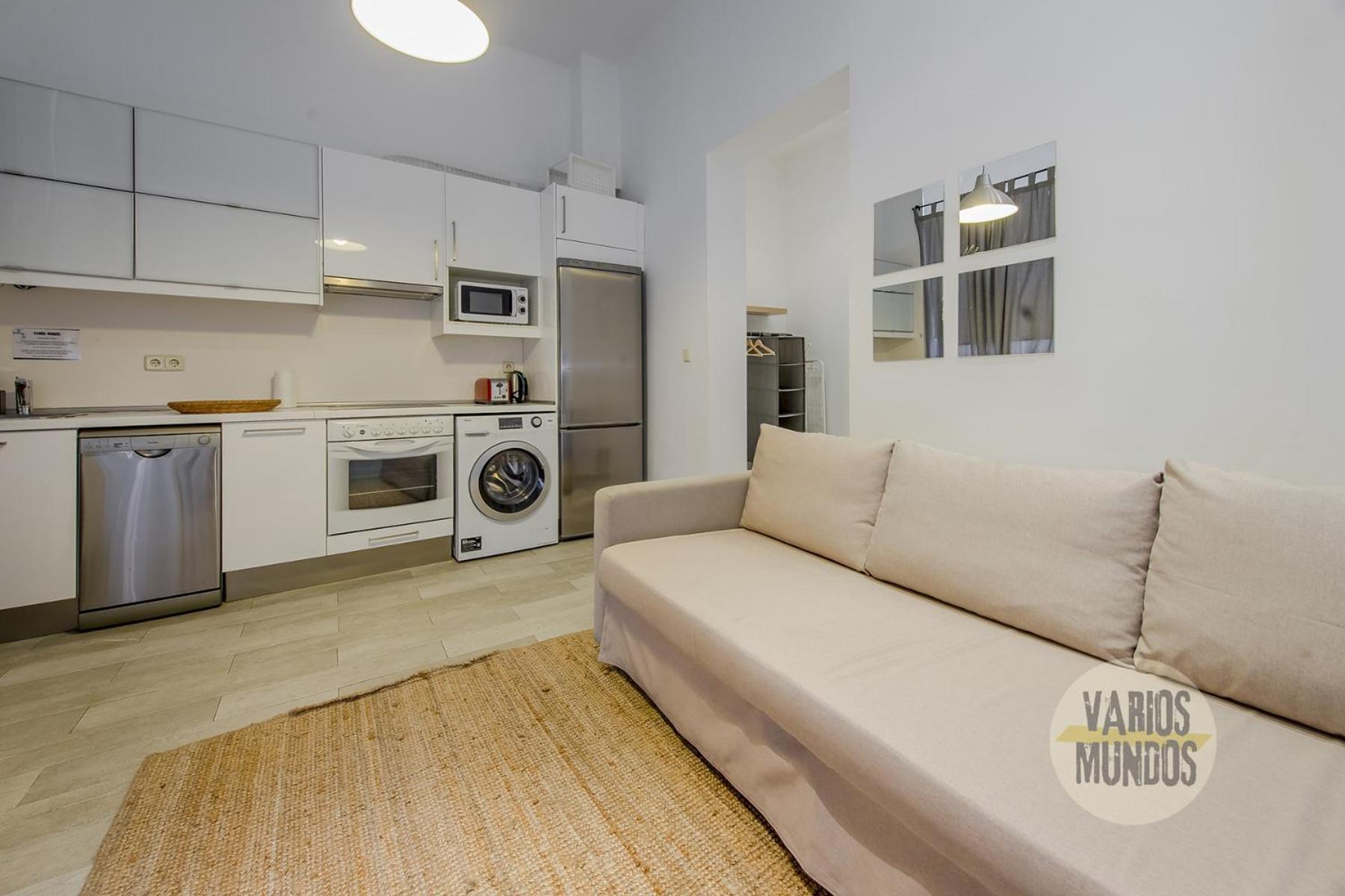 Apartment Stylish Loft With 2 Beedrooms En El Centro - La Latina E2 *