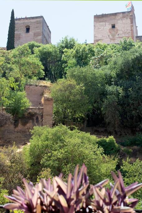 Alhambra Enamora 1 -paseo De Tristes View 1 -c * Granada