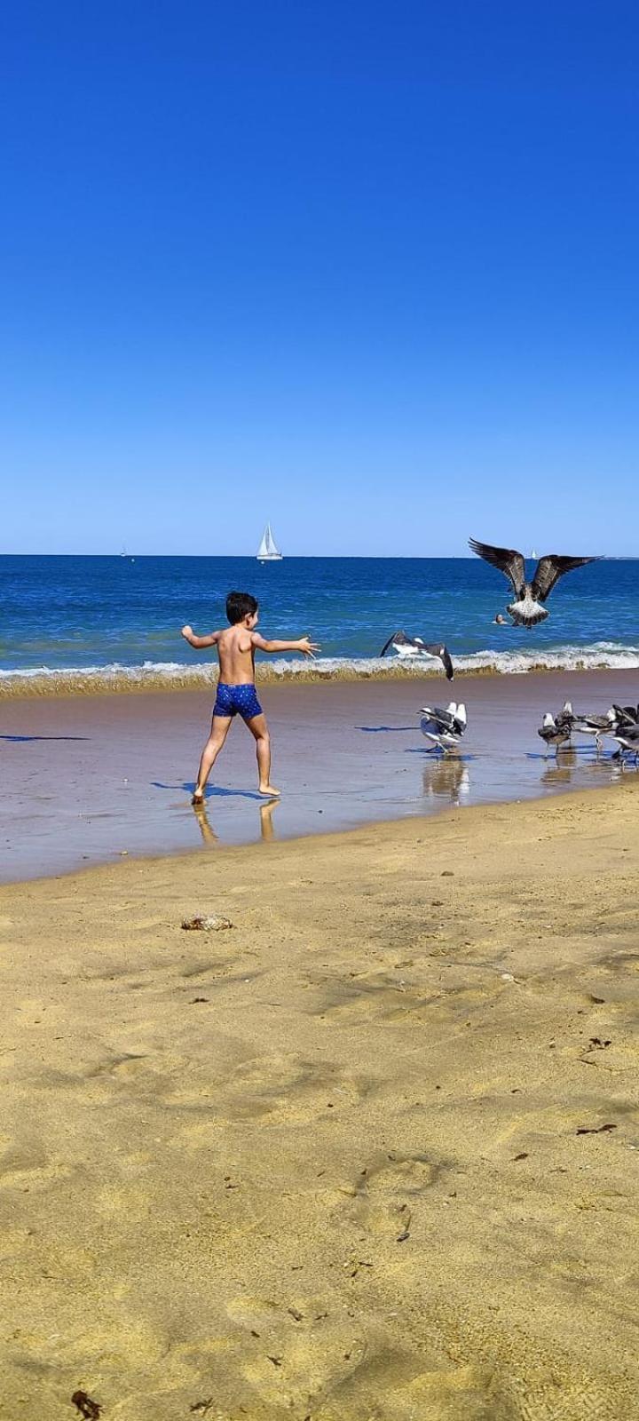 La Gaviota *