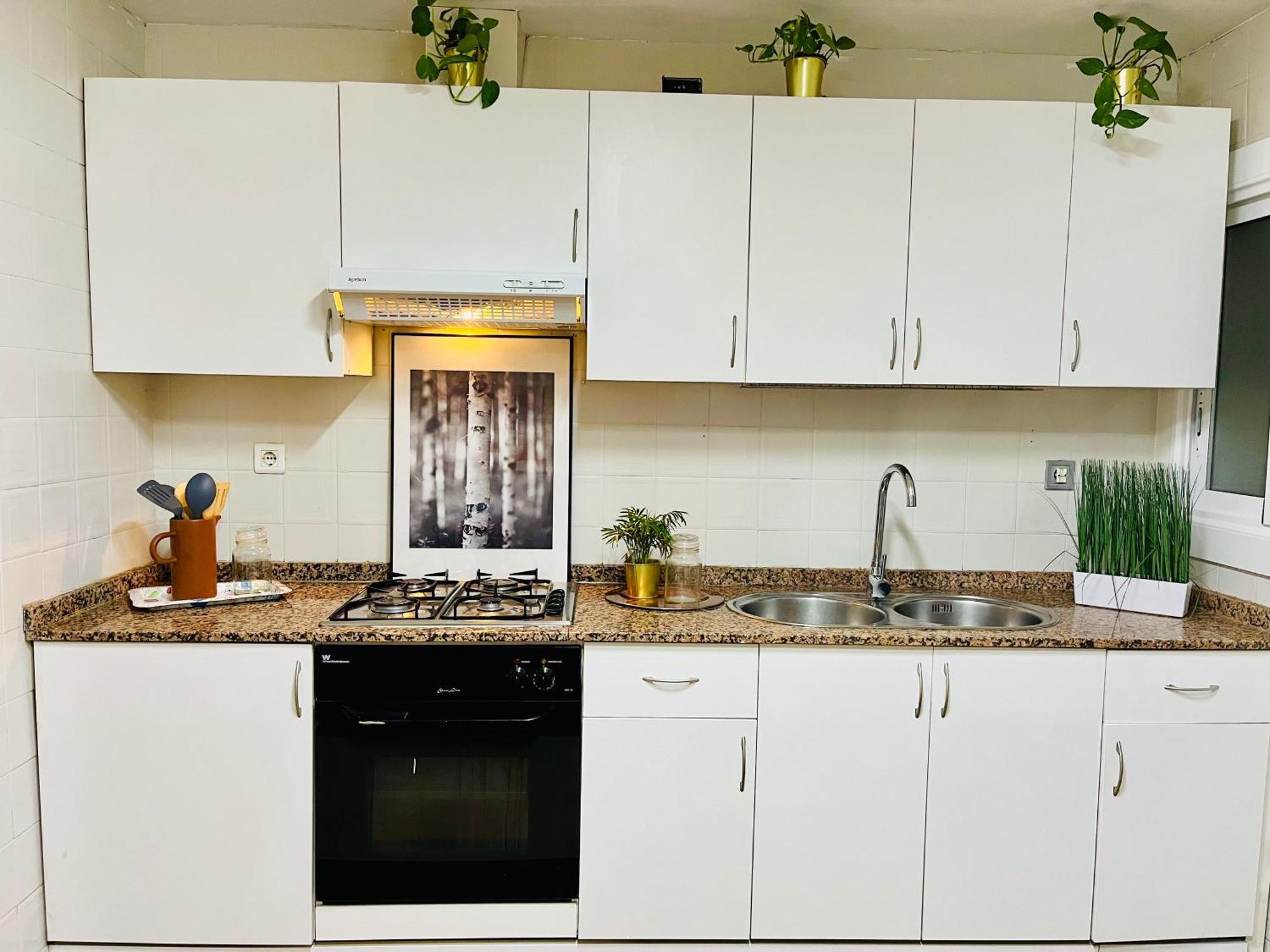 Apartamento Vibes Centro *