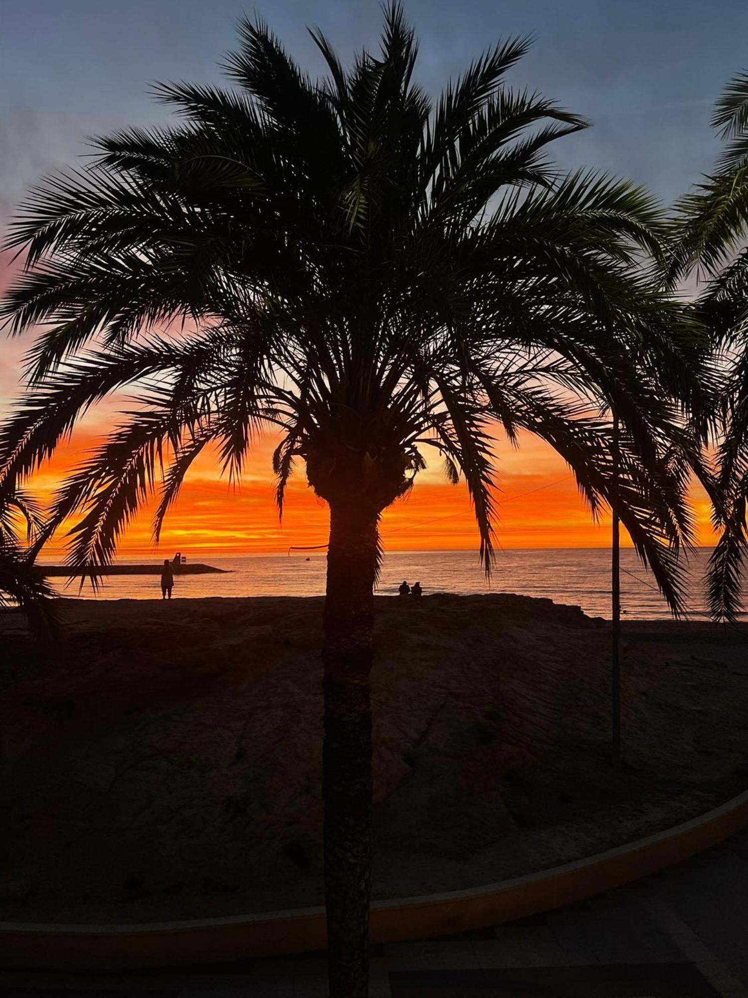 Modern Directly On The With Wifi And Air Conditioning Apartment El Campello