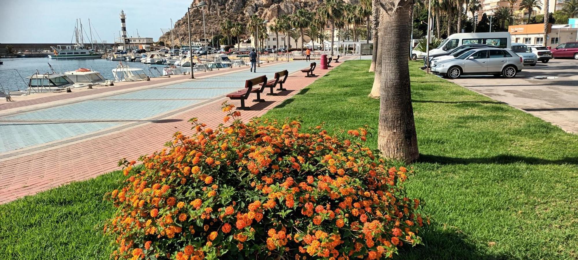 Tranquilo Cerca De Buena Piscina Y Con Buen Aire Acondicionado Apartamento Águilas