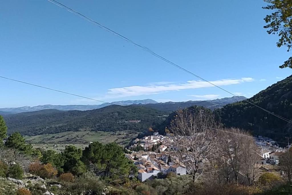 Mi Pequeno Paraiso