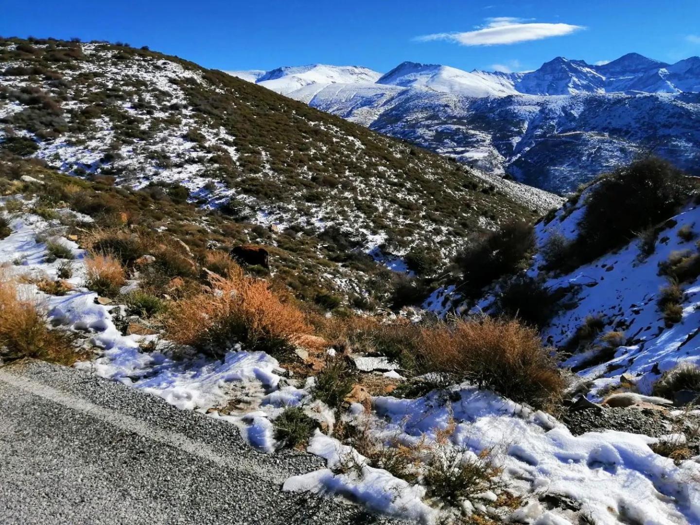 Apartamento Sierra Nevada Park