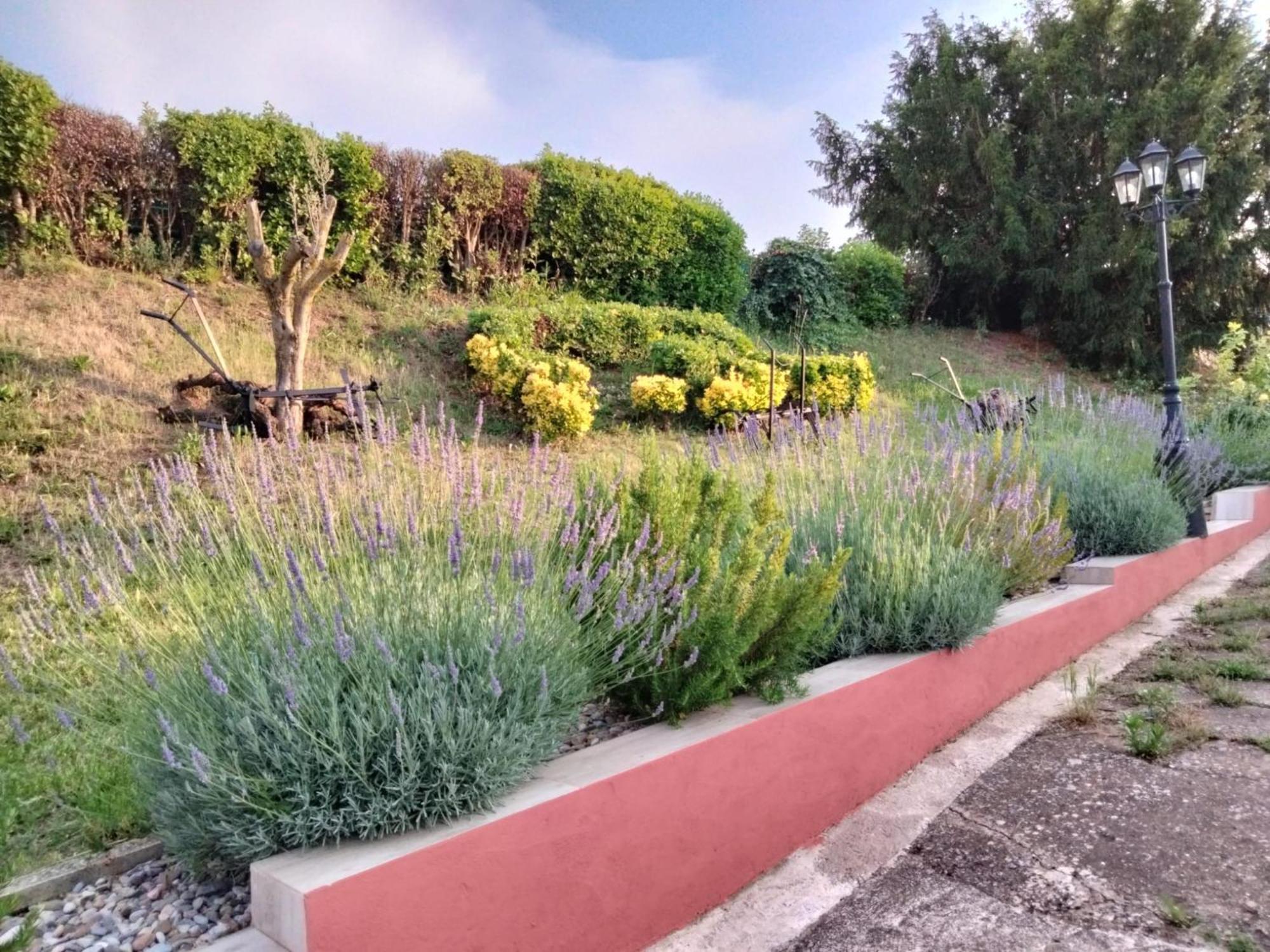 Casa Turistica Carmen, Con Chimenea, Amplia Zona De Jardin, Barbacoa, Piscina Y Garaje Arenzana de Abajo