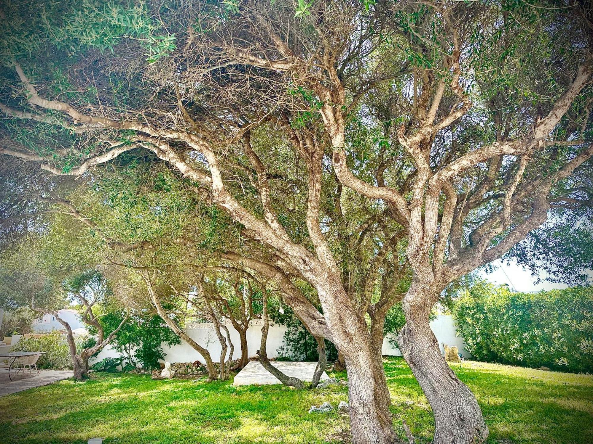 Starbal Villa *