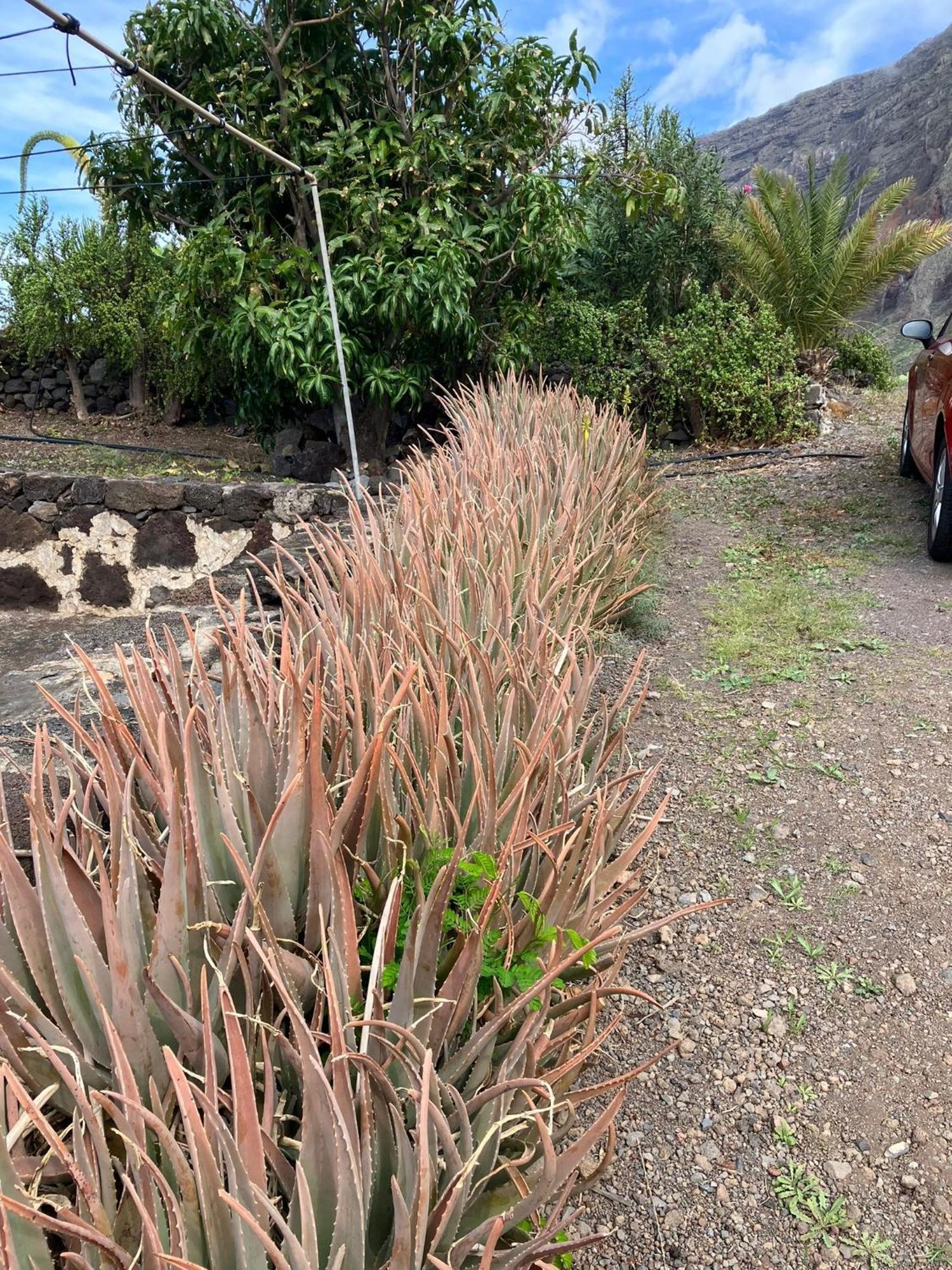 Casa Nela. Rural Y Acogedora En Puntas El Hierro Сasa de vacaciones *