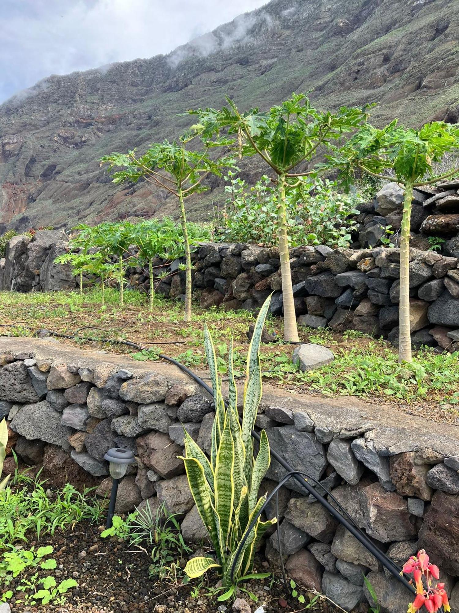 Casa Nela. Rural Y Acogedora En Puntas El Hierro Сasa de vacaciones La Frontera