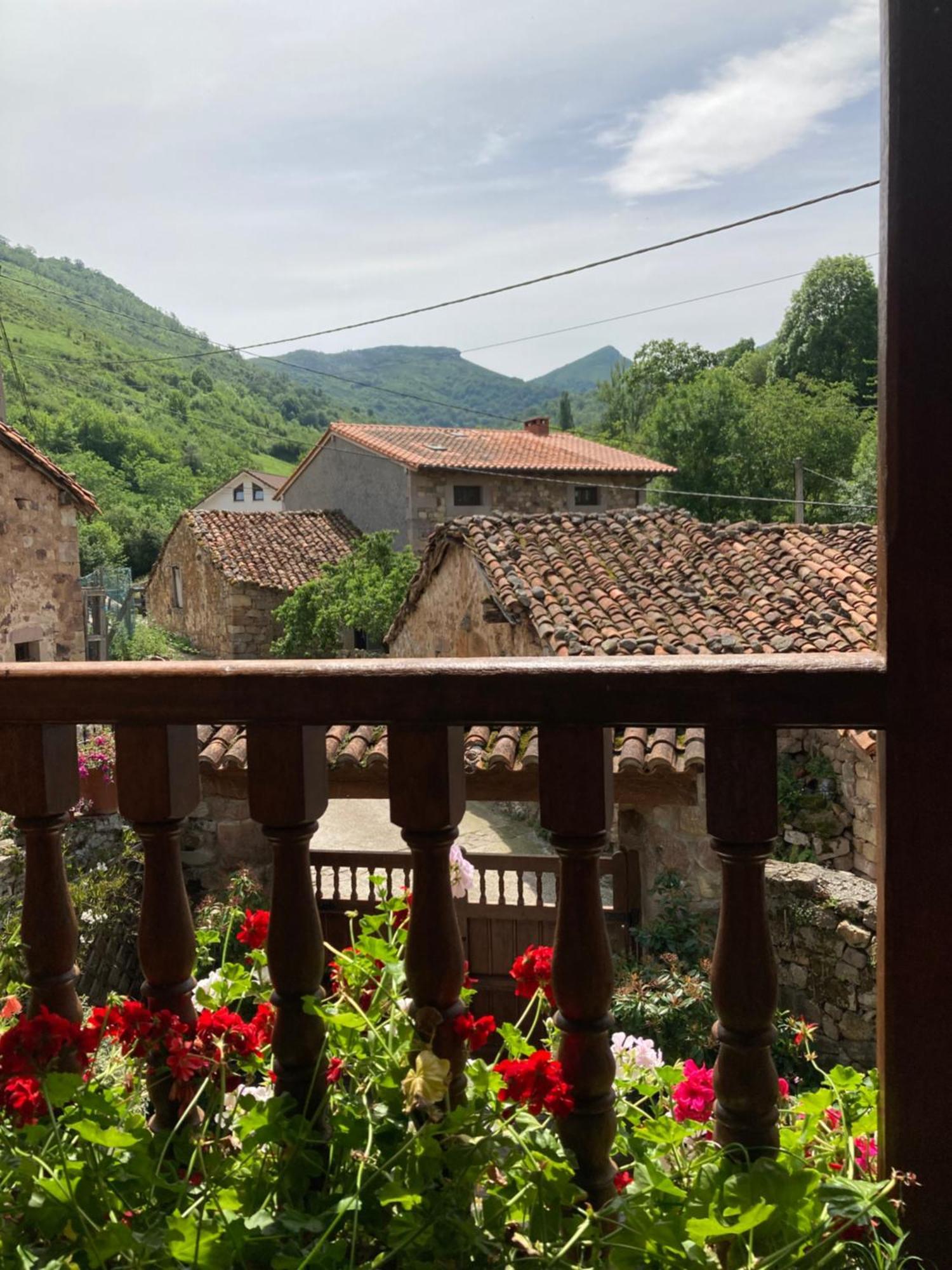 La Valuisilla, Rural * Cicera