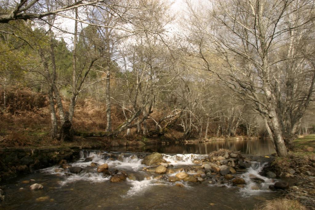 Camping Bungalow Sierra De Holiday park