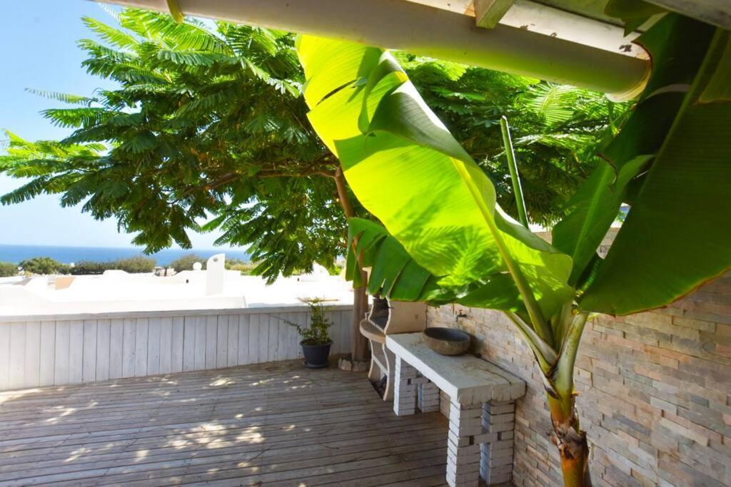 Book Jet - Blue Ocean Dream Terrace * Costa Calma